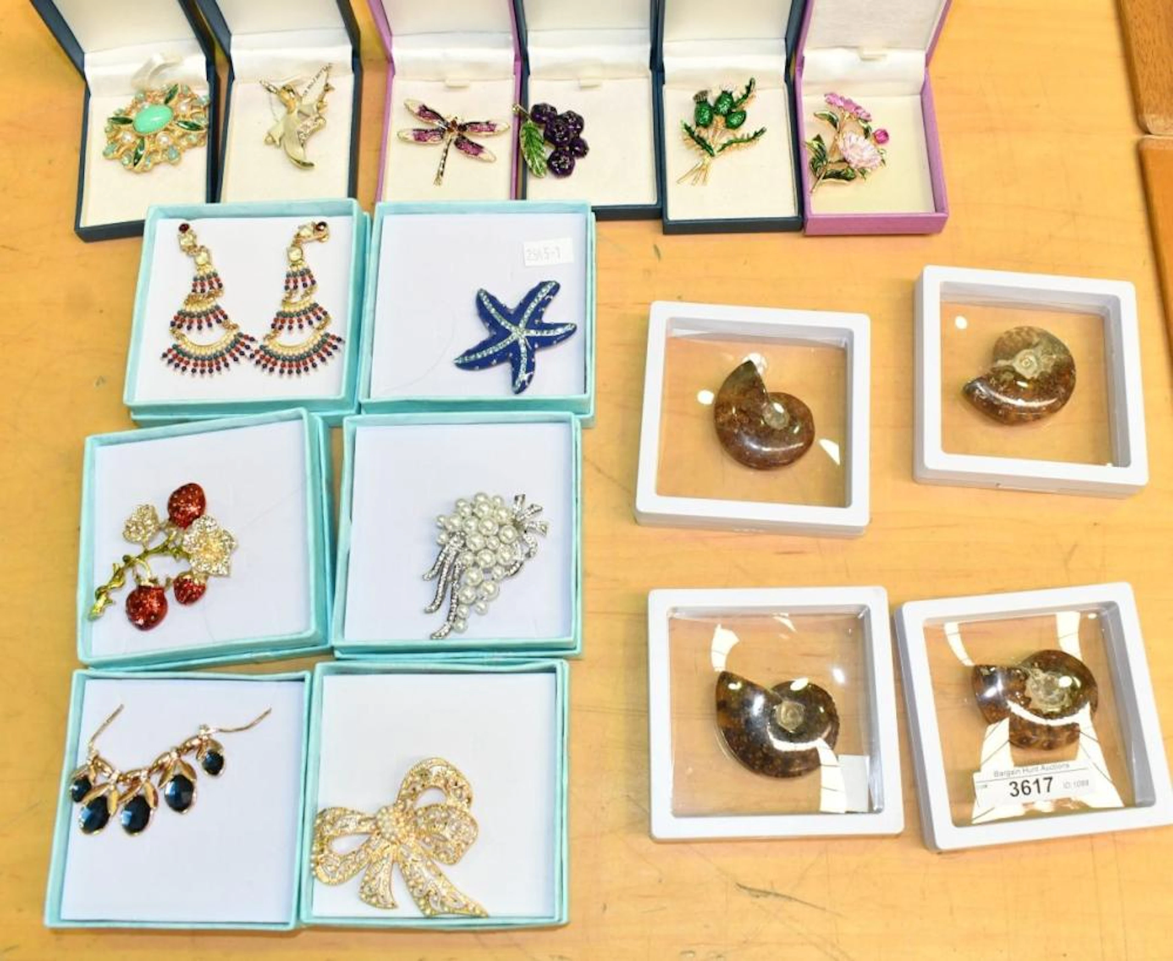 Quantity of assorted costume jewellery and 4 ammonite fossils