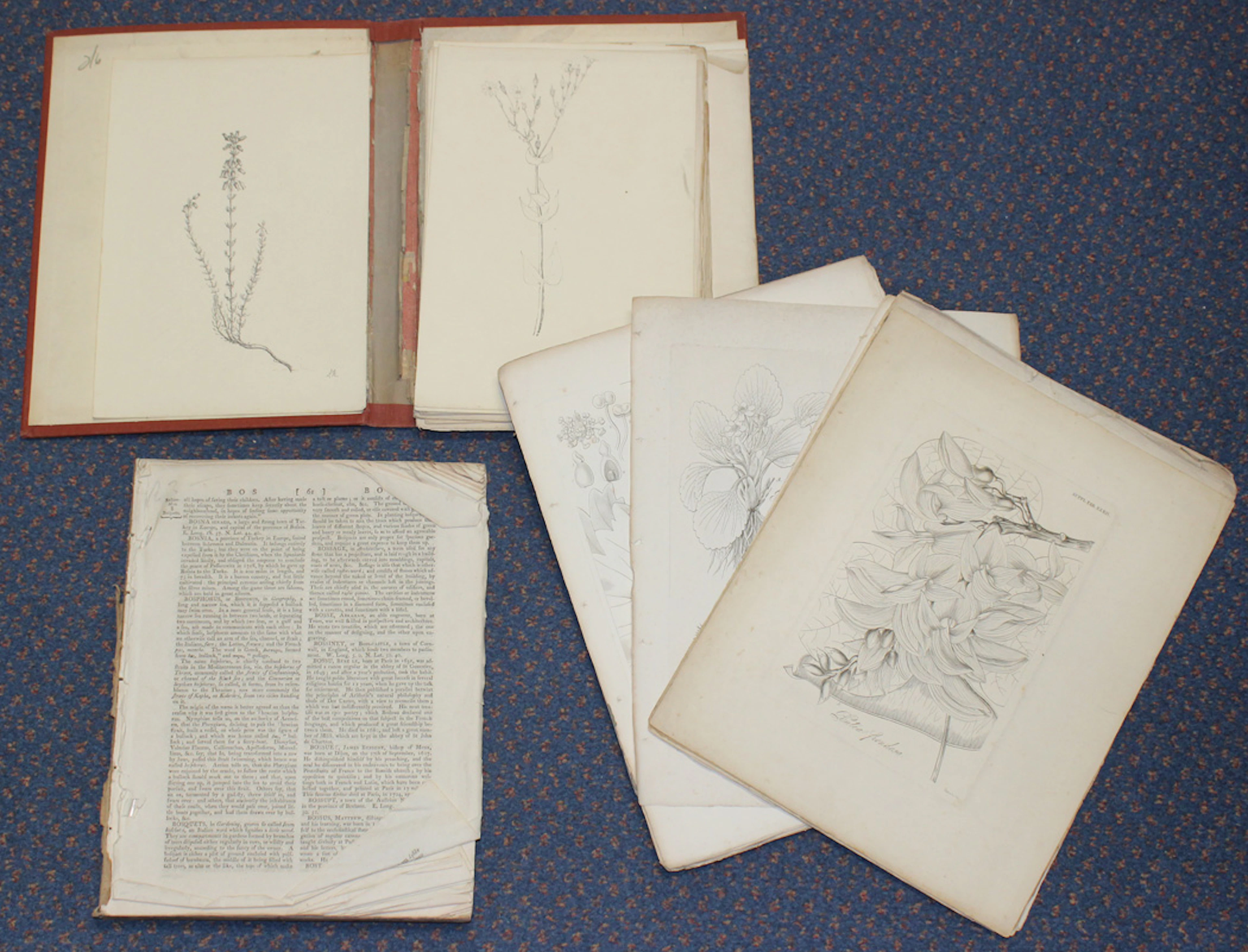 SCRAP ALBUMS. SIX ALBUMS CONTAINING MOUNTED SCRAPS