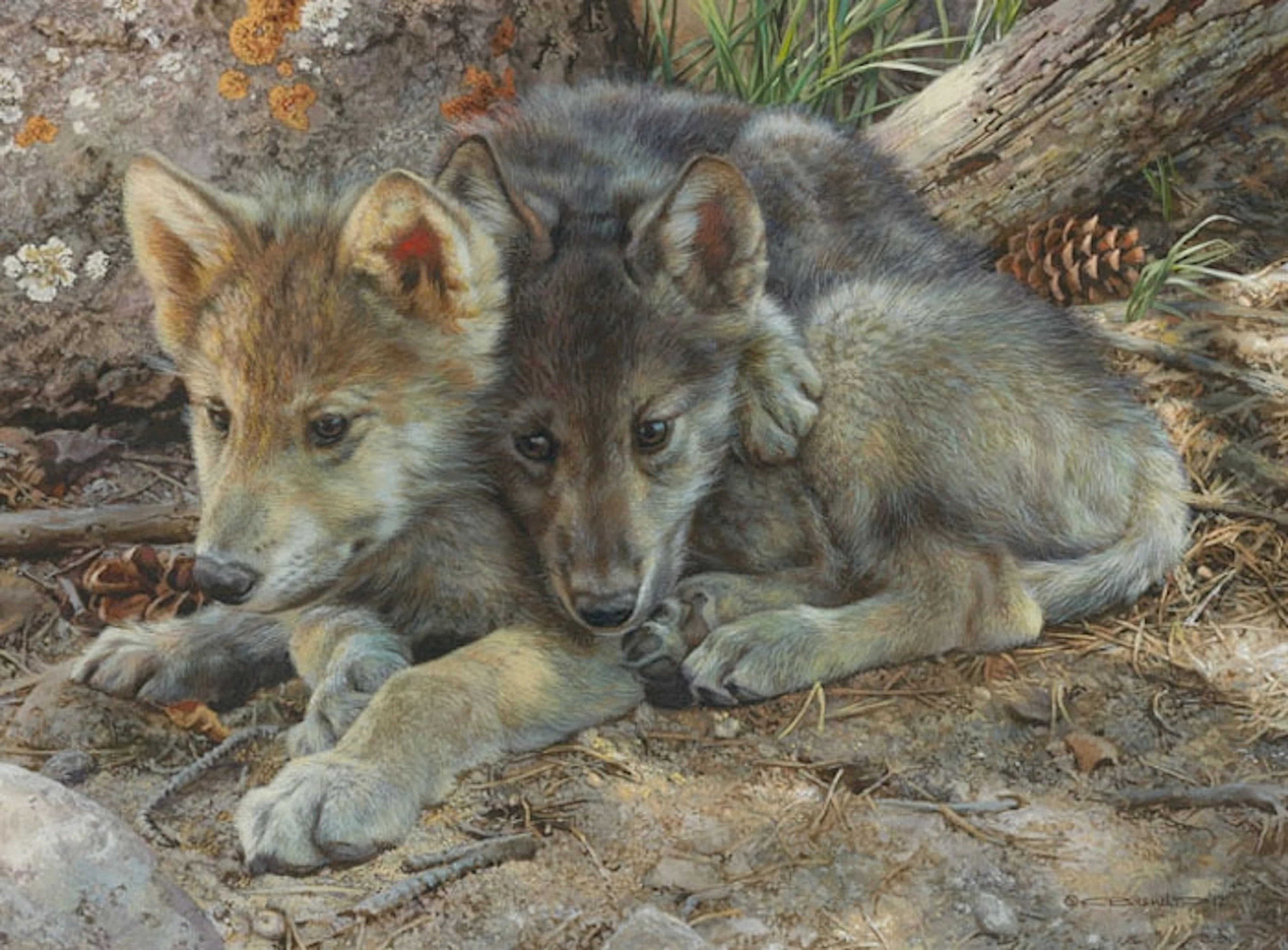 Carl Brenders - Brotherly Love-wolf Pups