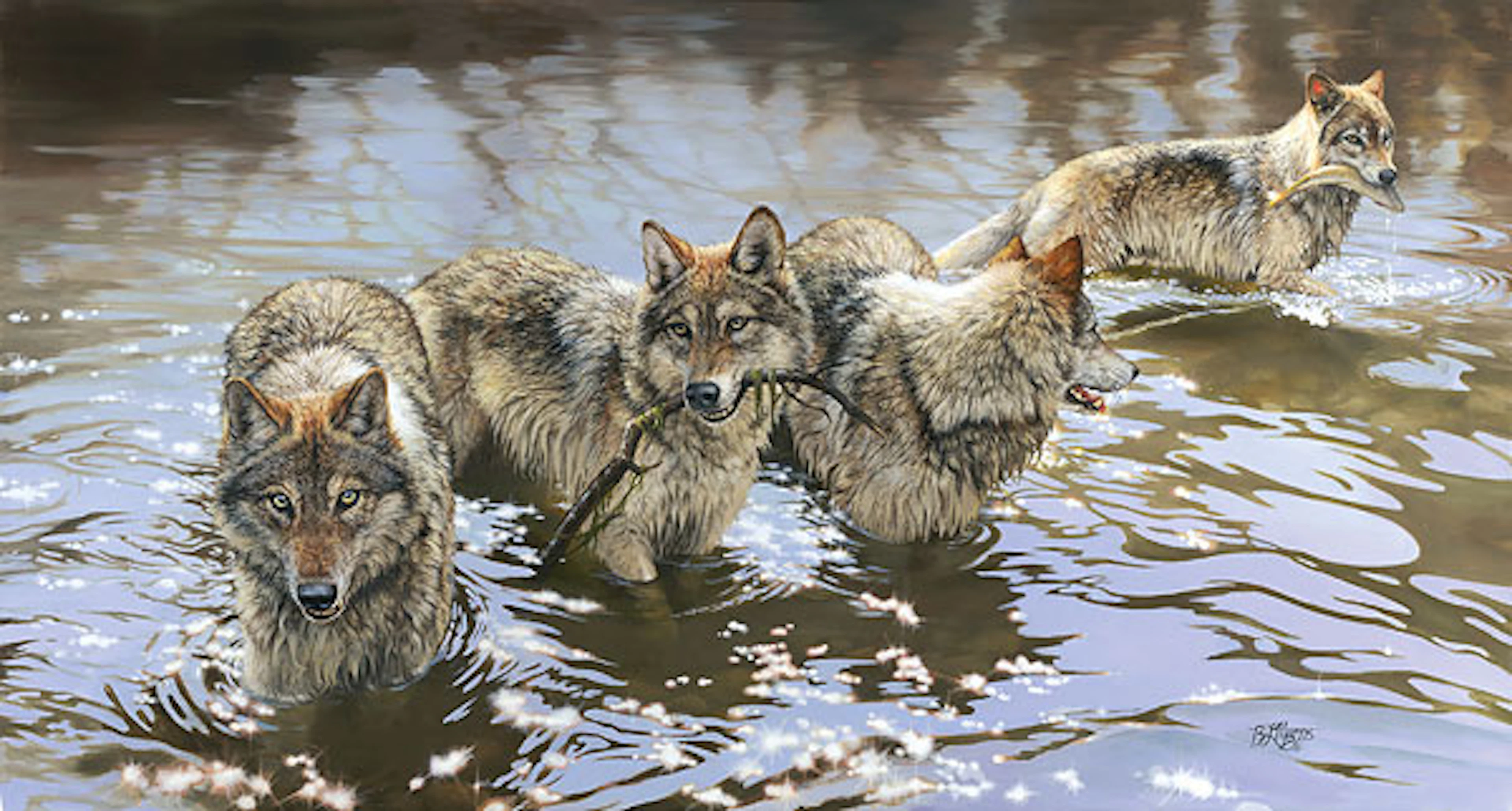 Bonnie Marris - Catch Of The Day