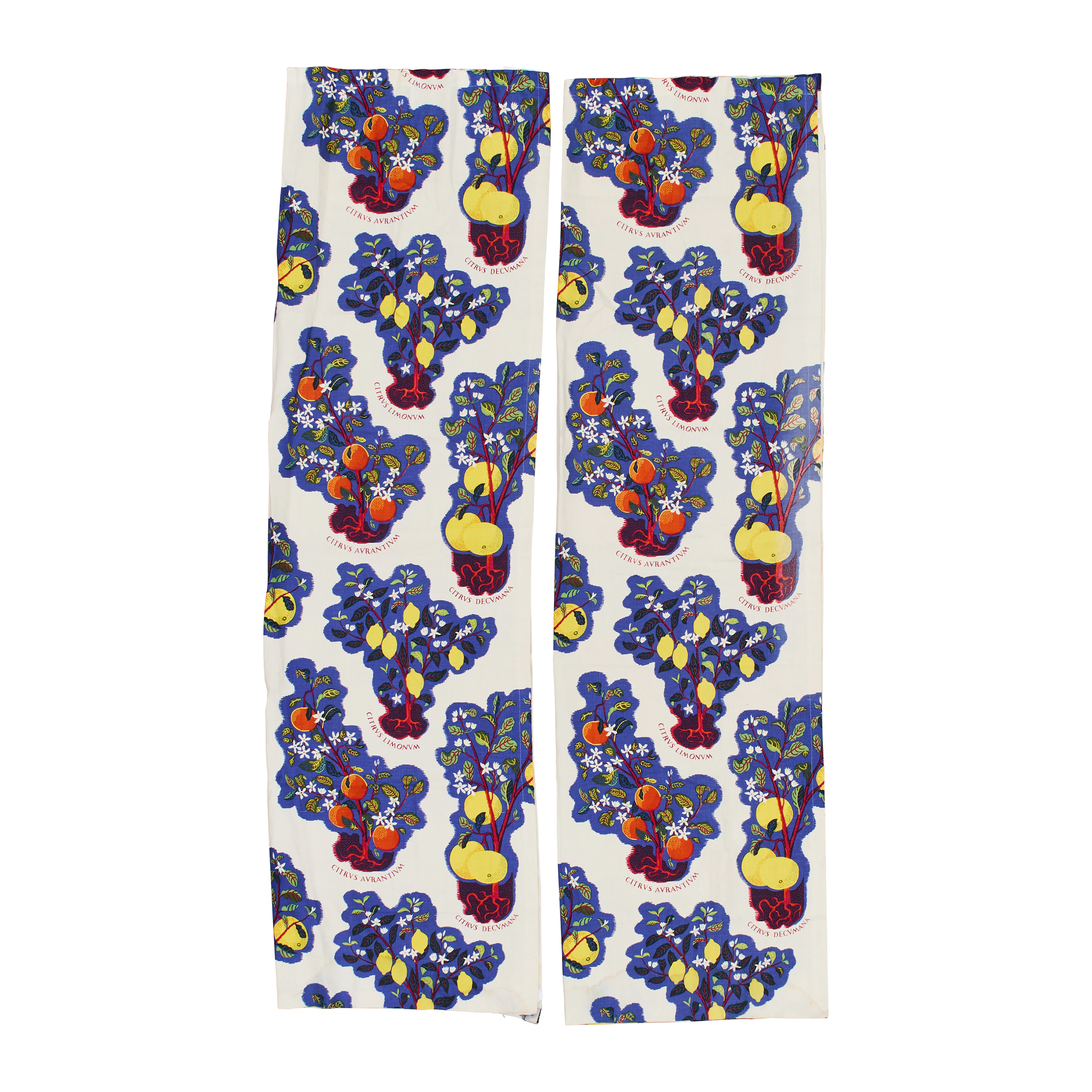 Josef Frank