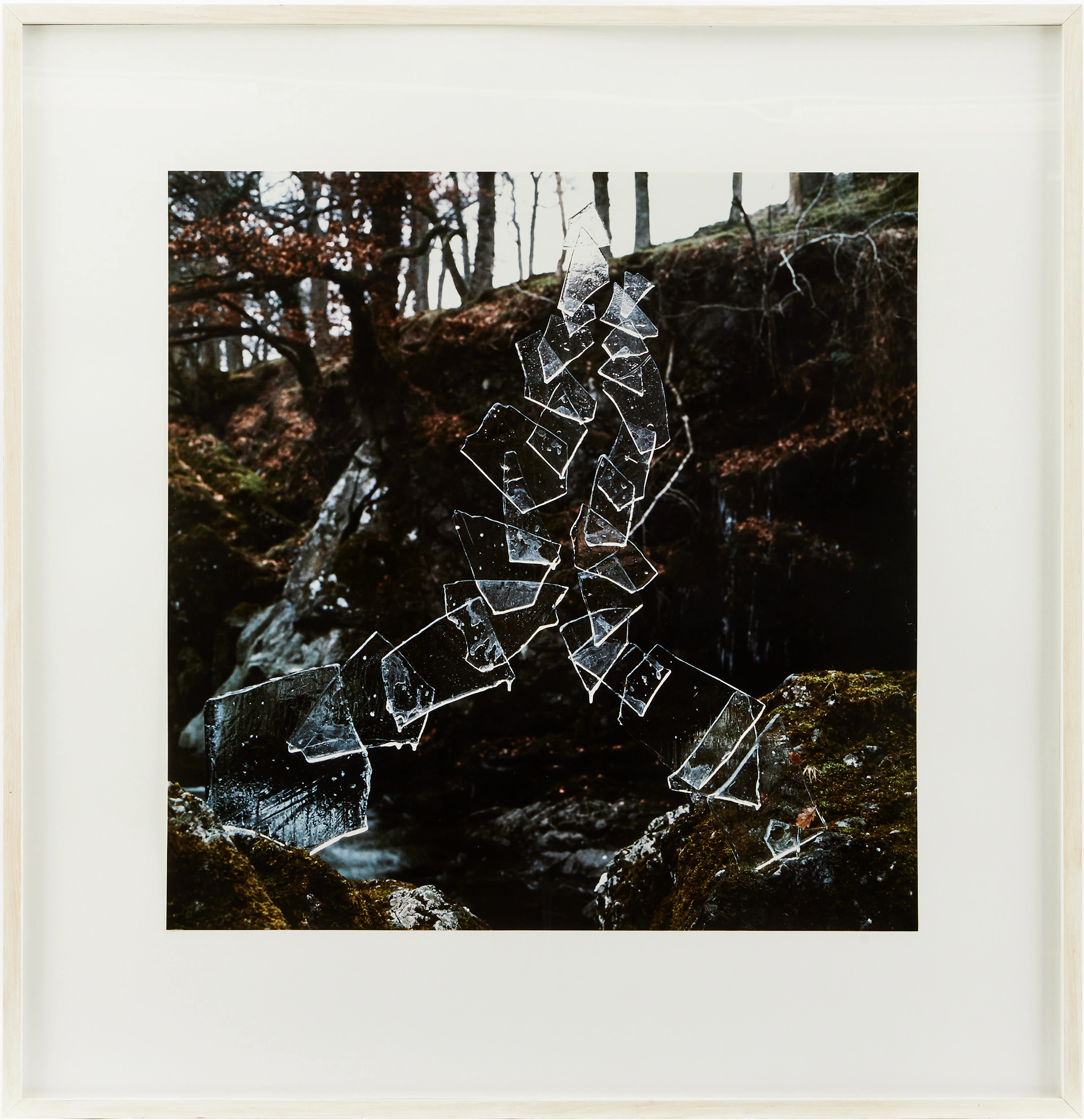 Andy Goldsworthy