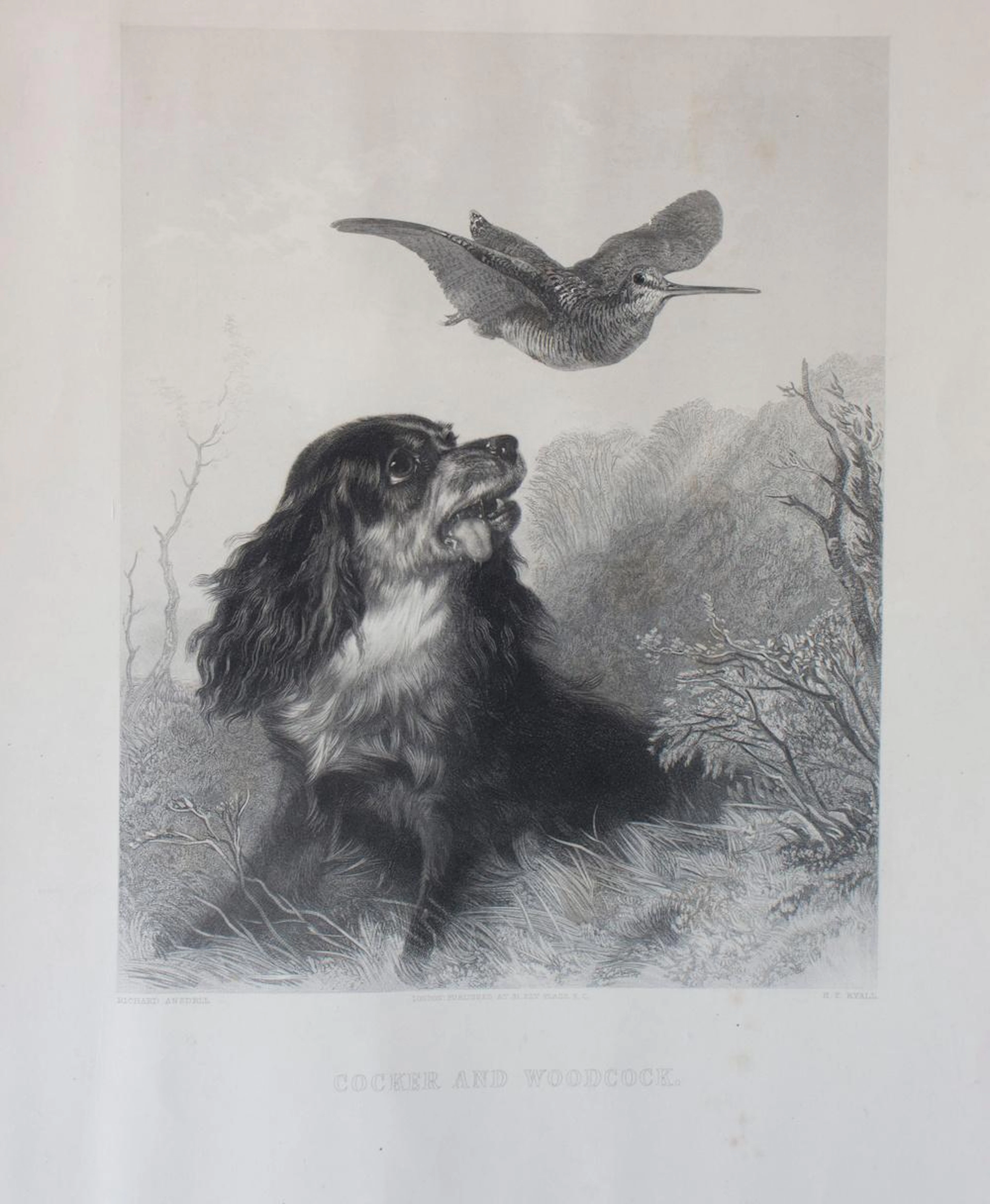 Richard Ansdell (1815-1885)
