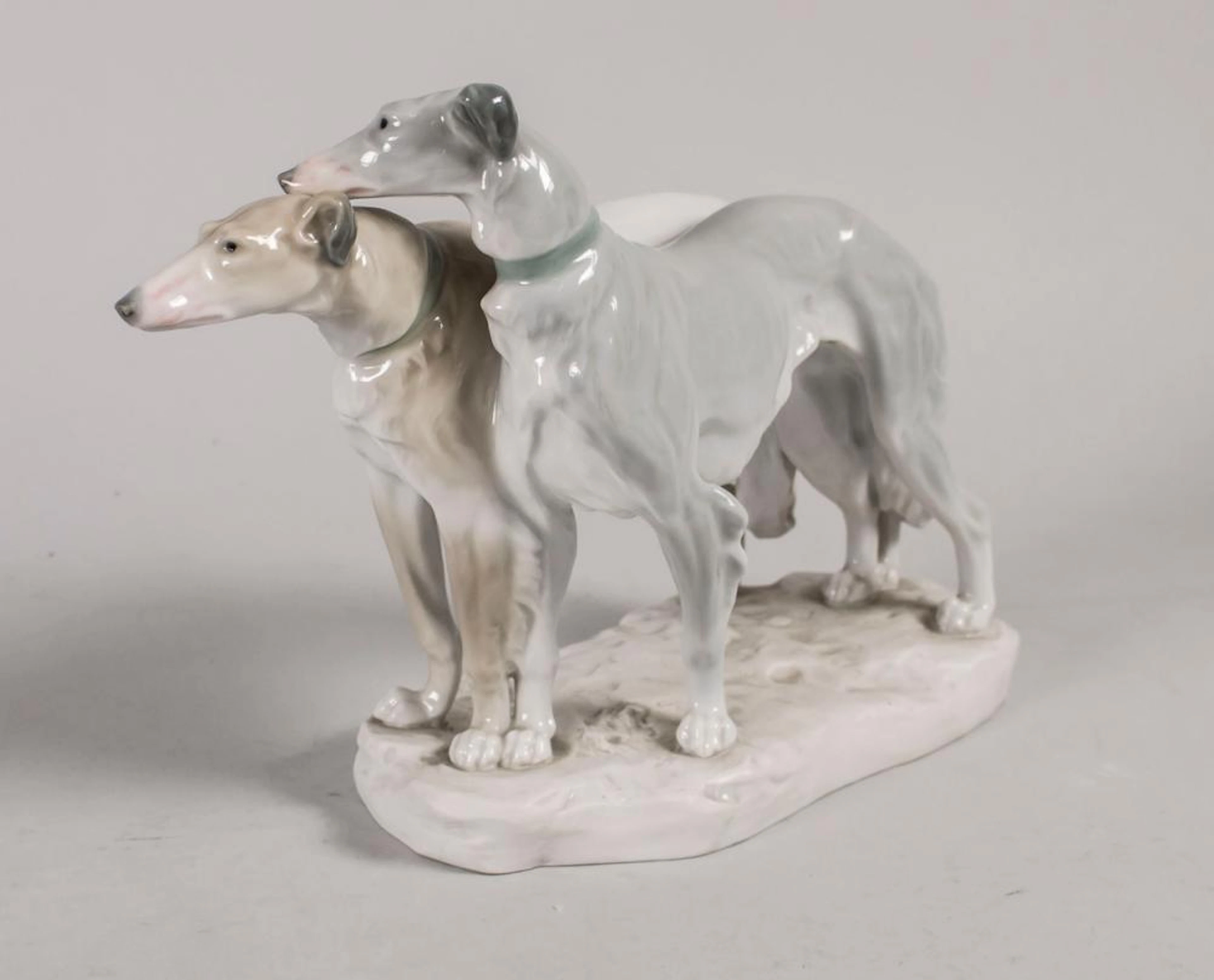 Barsoi-Gruppe / A group of Borzois / greyhounds