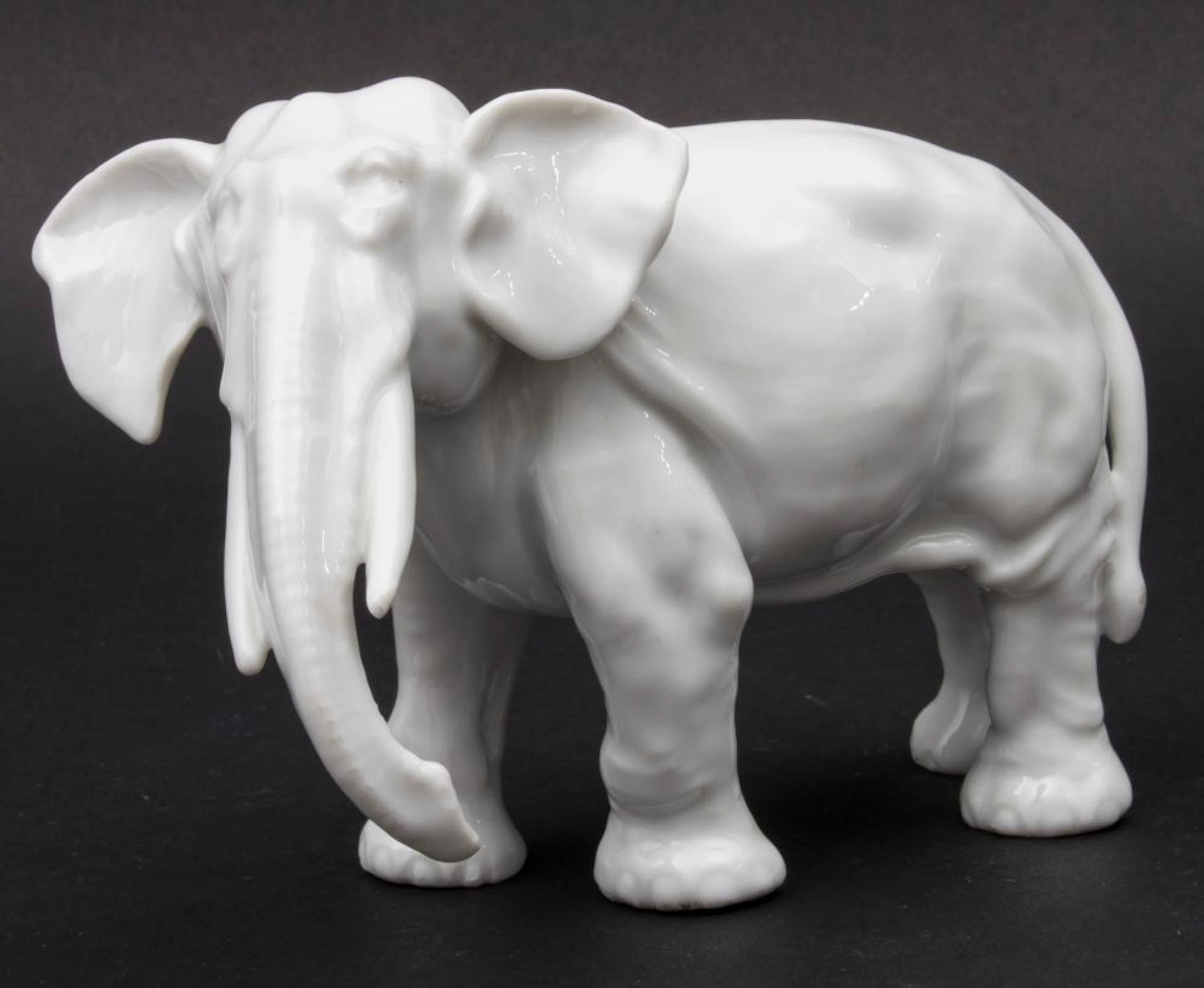 Alter indischer Elefant / An old Indian elephant, wohl deutsch, um 1900