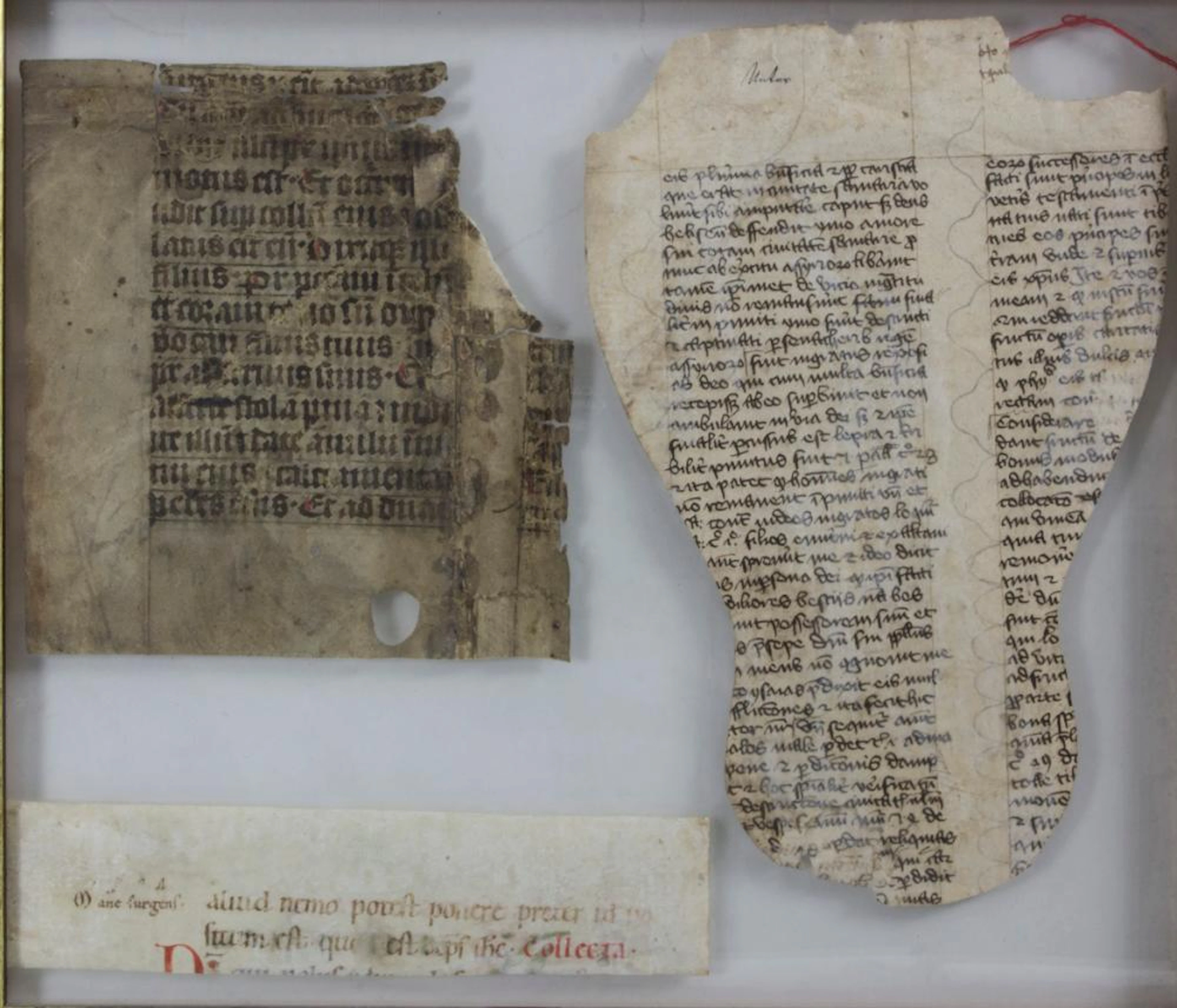 Drei mittelalterliche Manuskripte / Three medieval manuscripts
