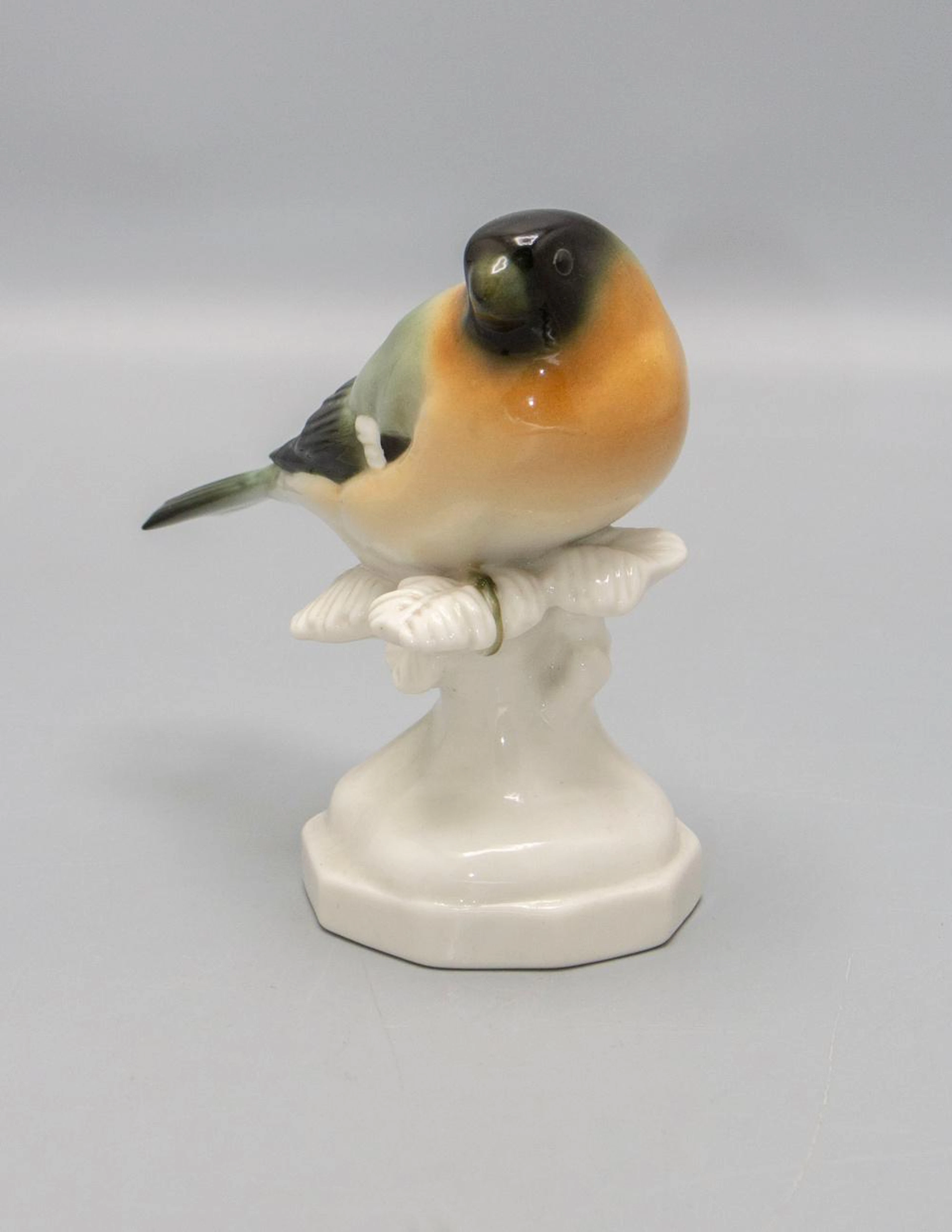 Dompfaff auf Tannenzweig / A bird figure of a bullfinch
