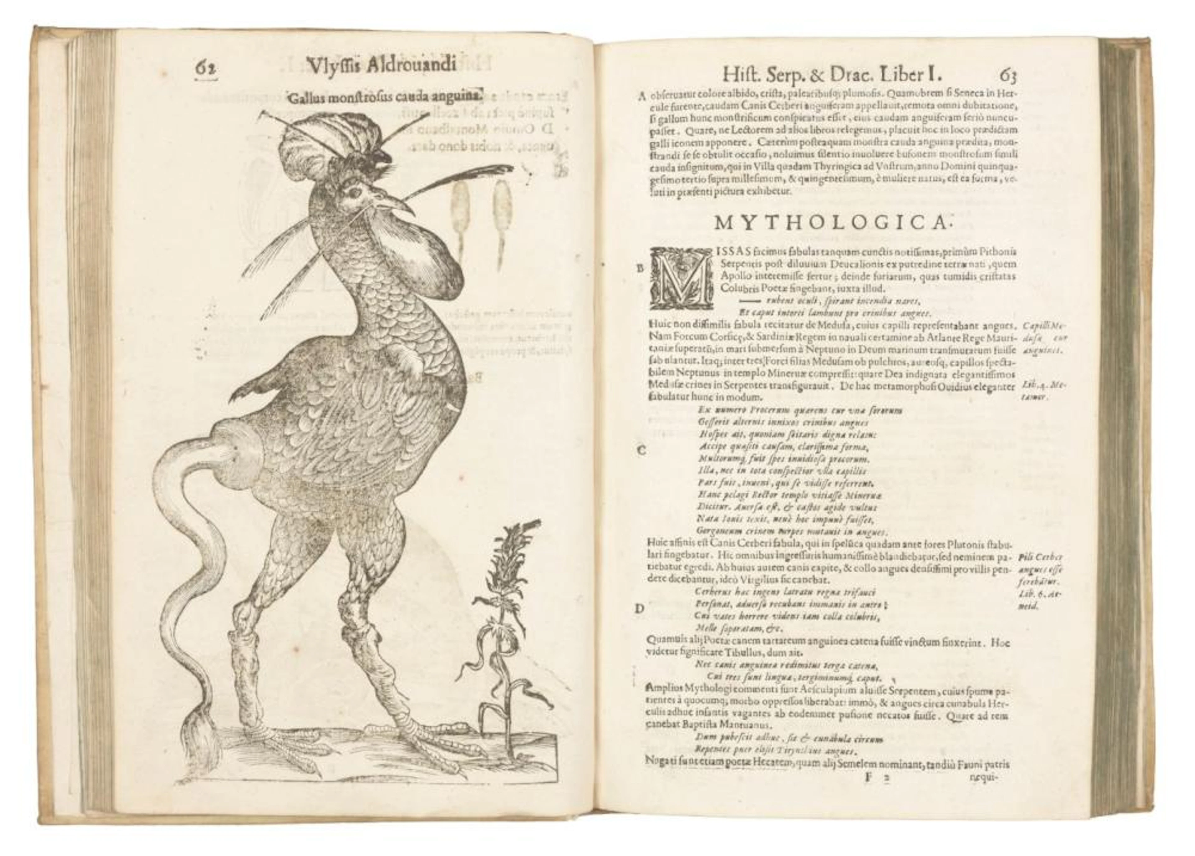 ALDROVANDI