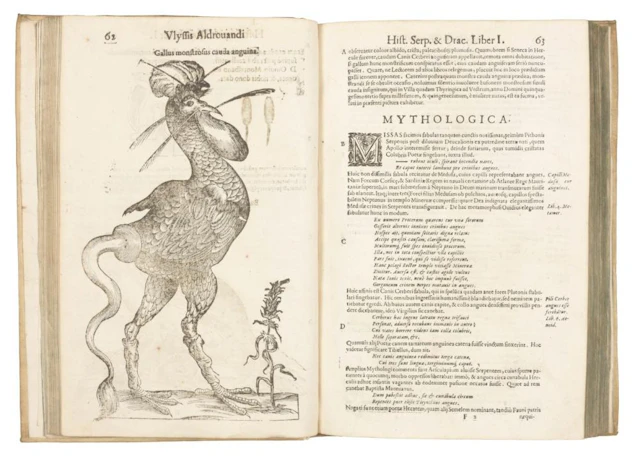 ALDROVANDI