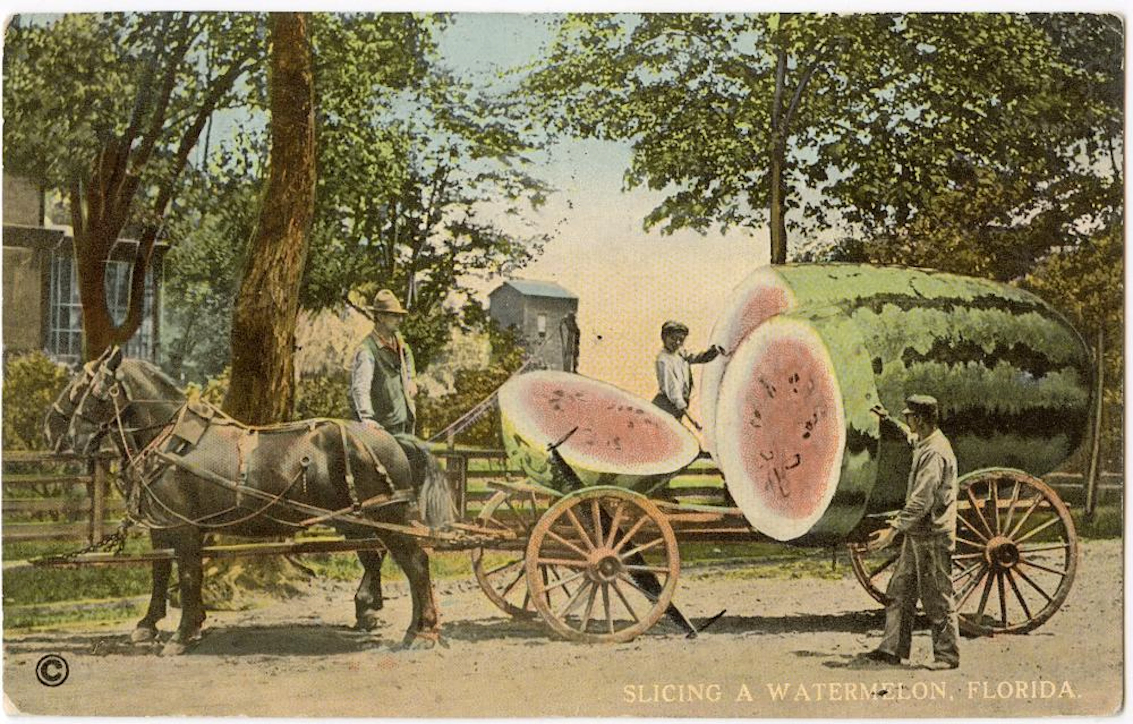 Vintage Antique Rare Postcard African America