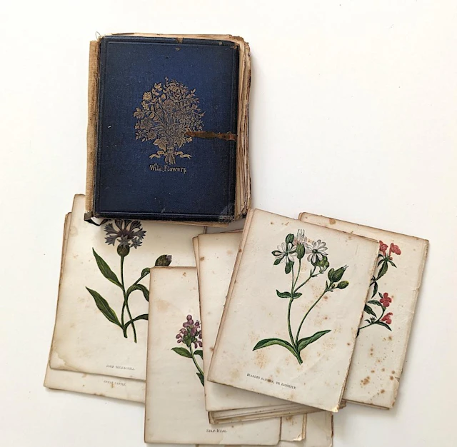Damaged Book Wild Flowers by Anne Pratt, 1876