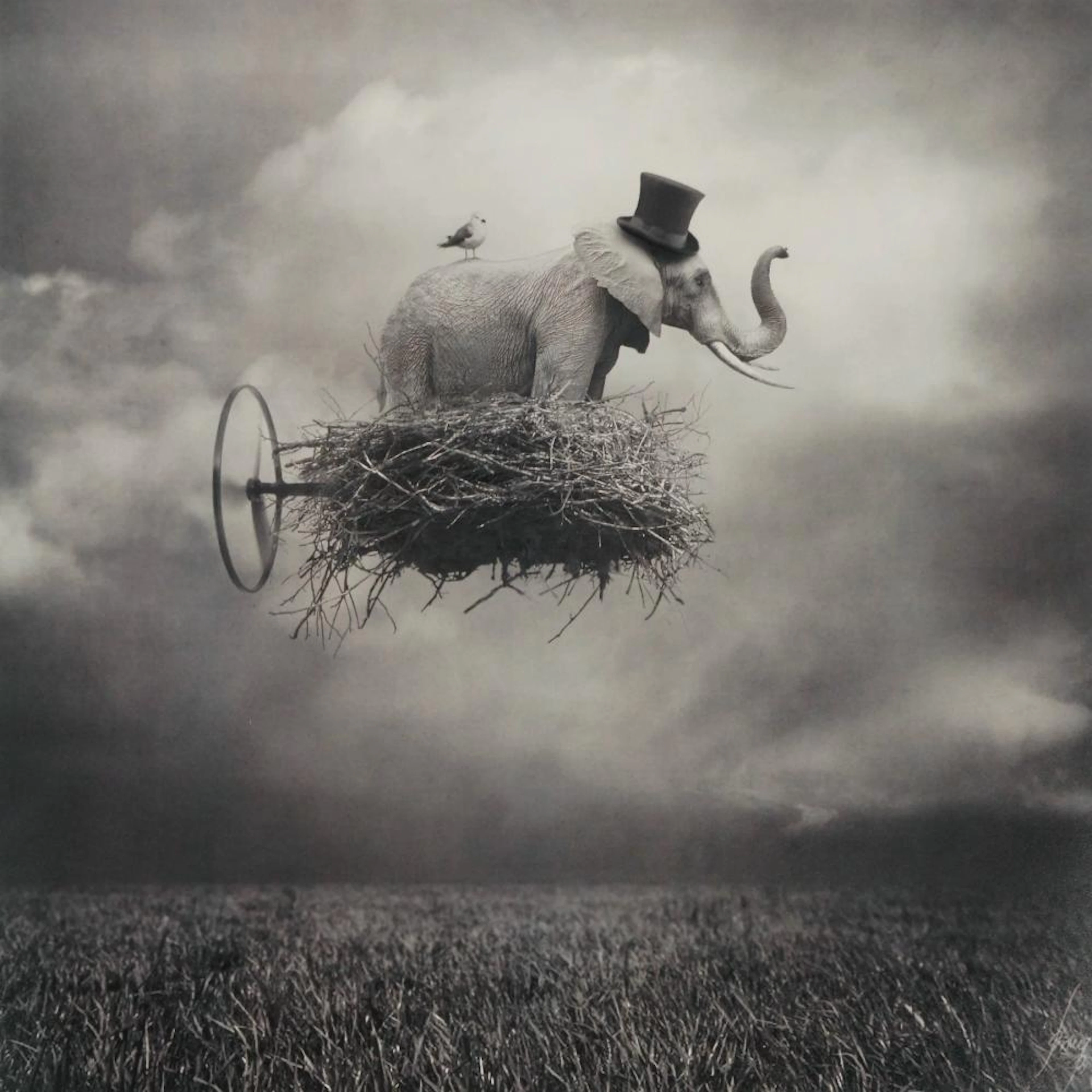 Beata Bieniak (1966) 'Flying Circus' (2011) Photograph L. Ed. 26/250