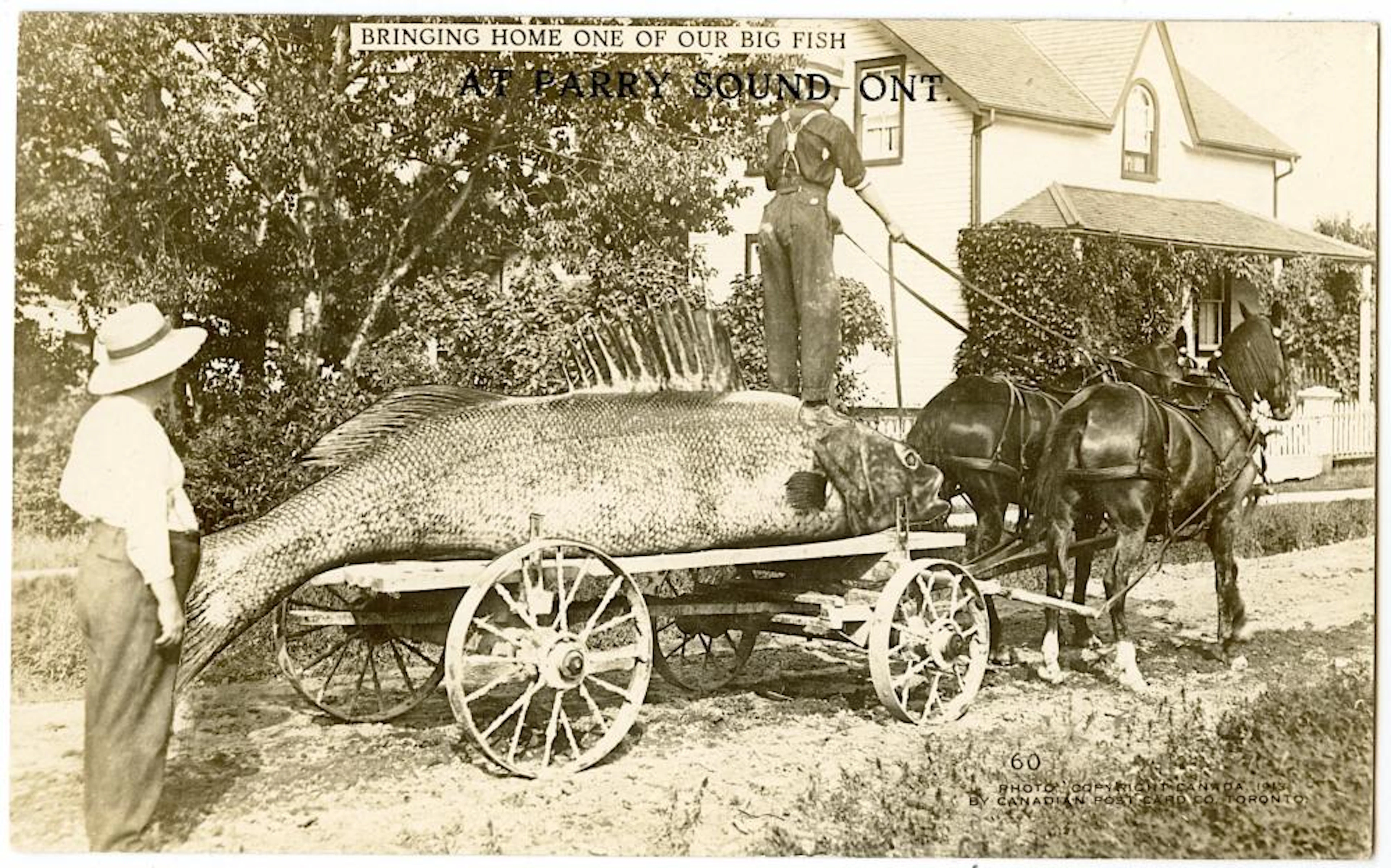 Antique Old Scarce Real Photo Postcard Surrealism
