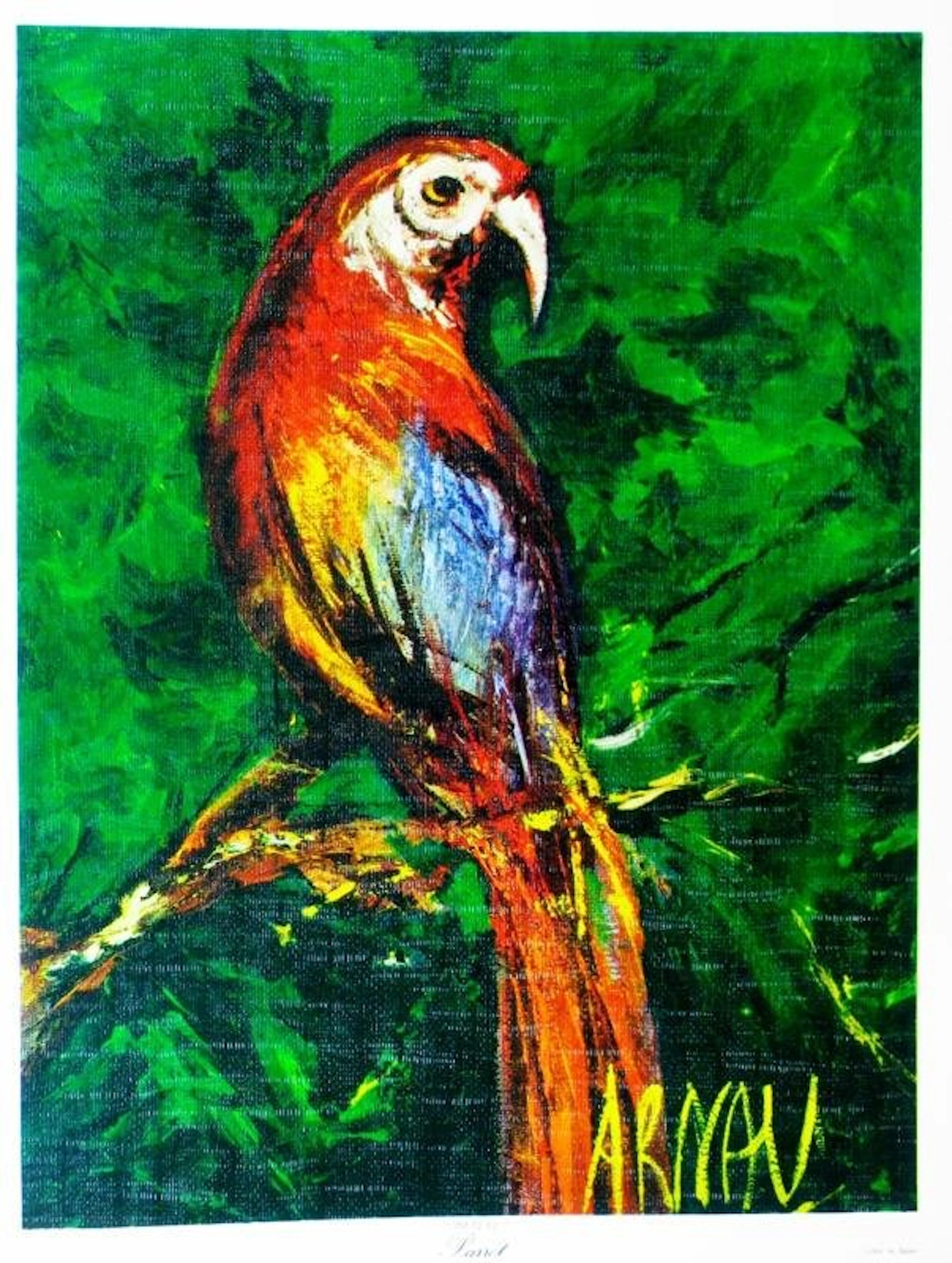 Parrott Lithograph Signed Colorful Art For Sale