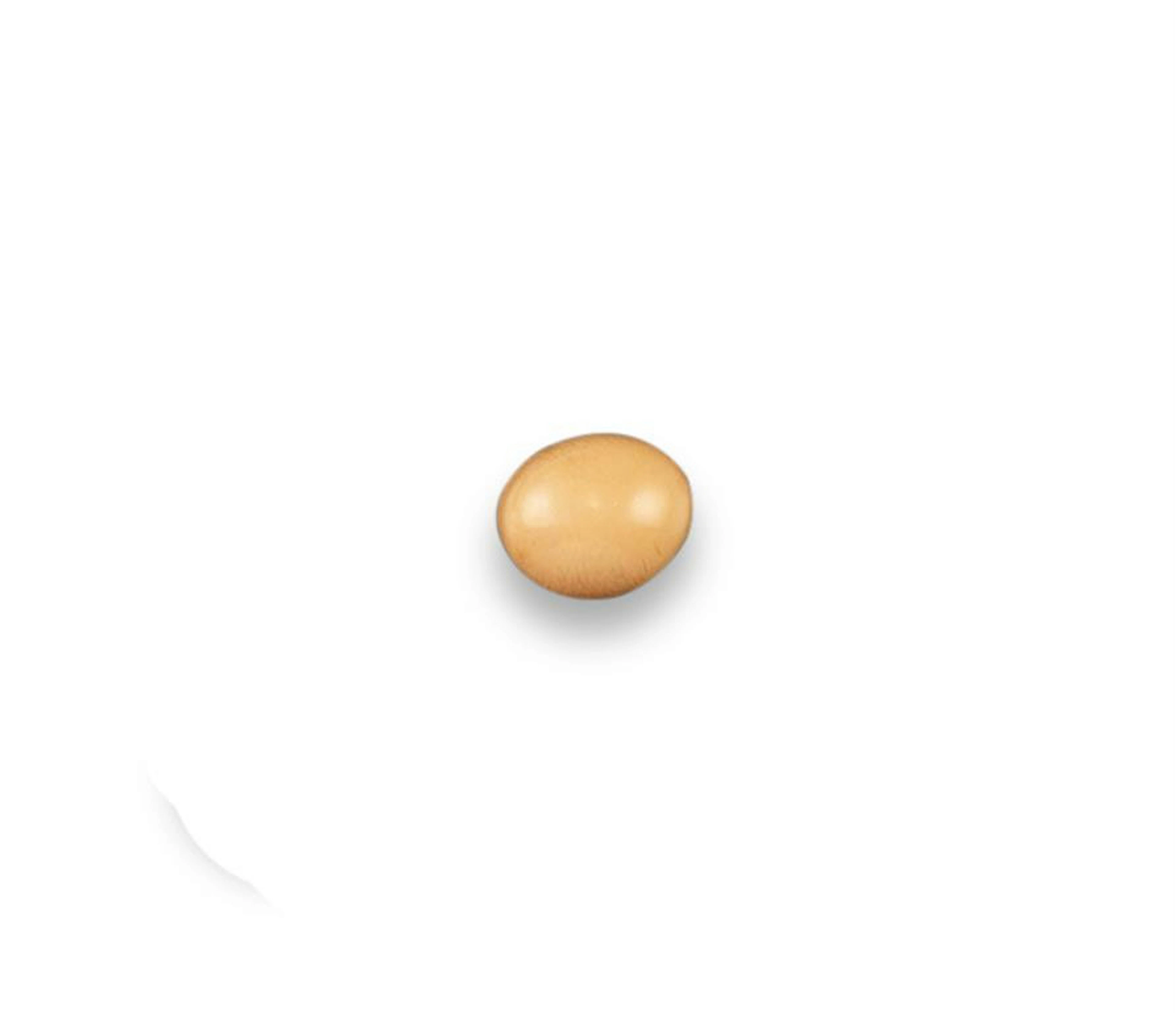 A pale orange Melo pearl