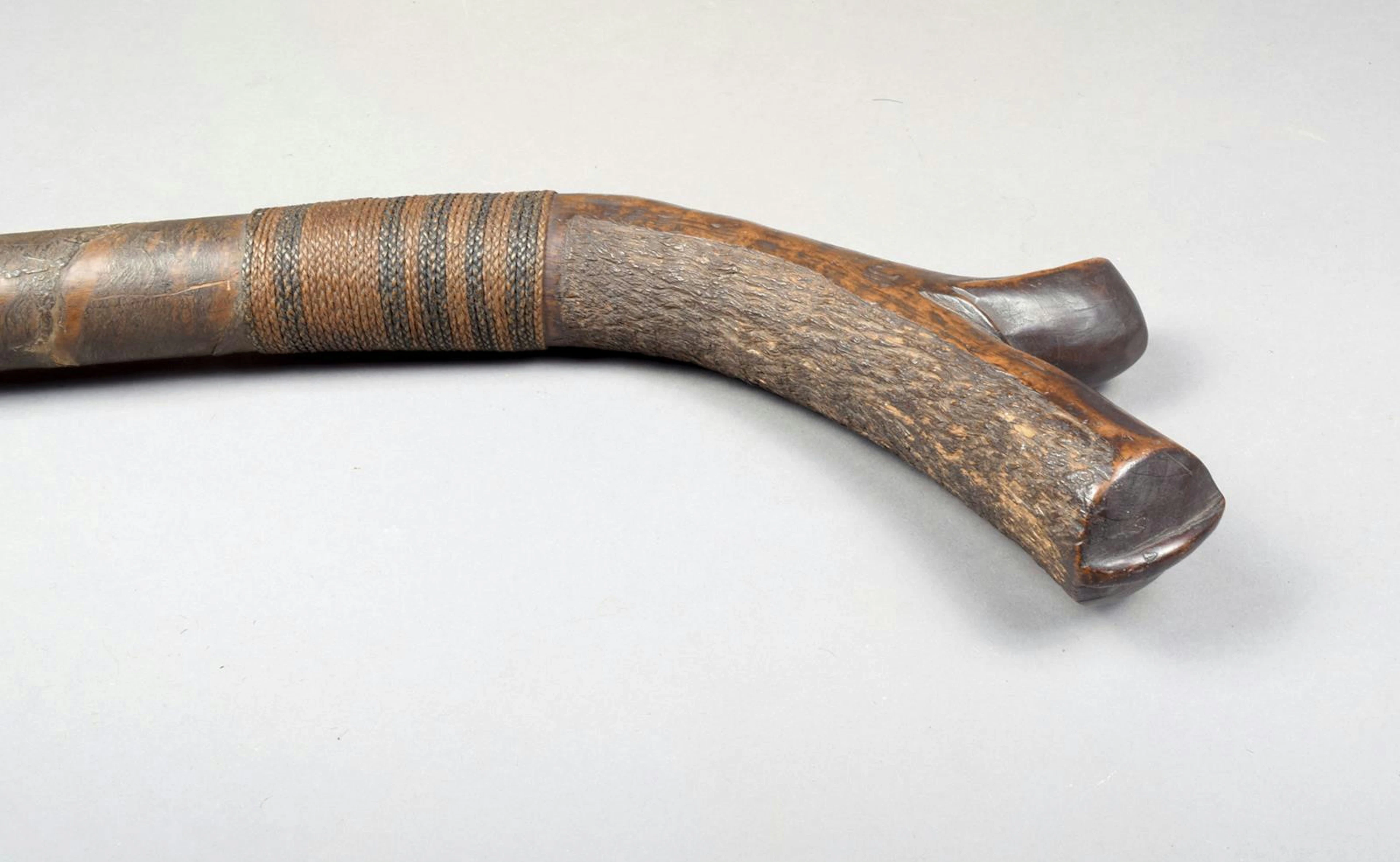 A Fiji kiakavo vividrasa