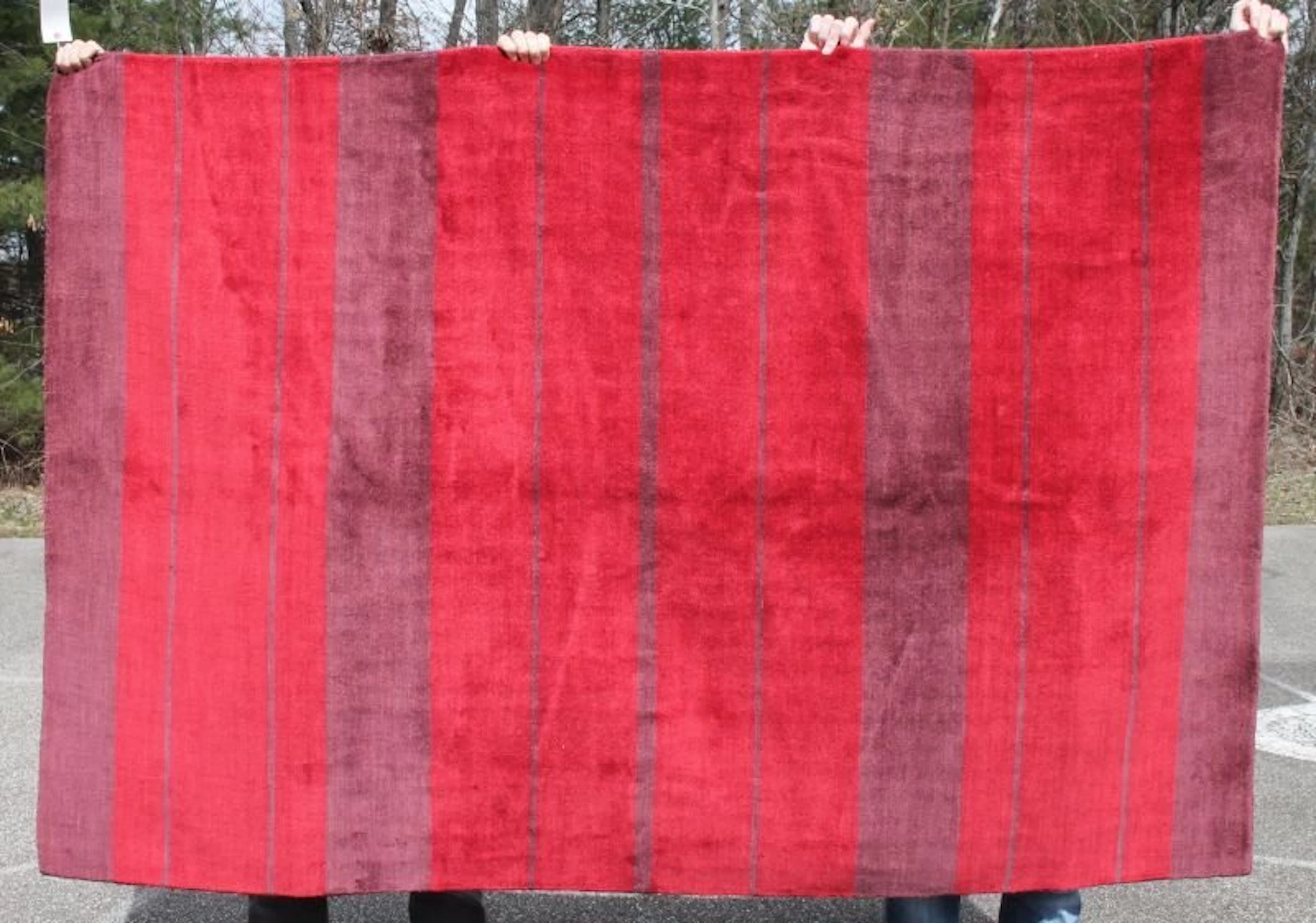 4'10"x7'3" Gabeh Oriental area rug