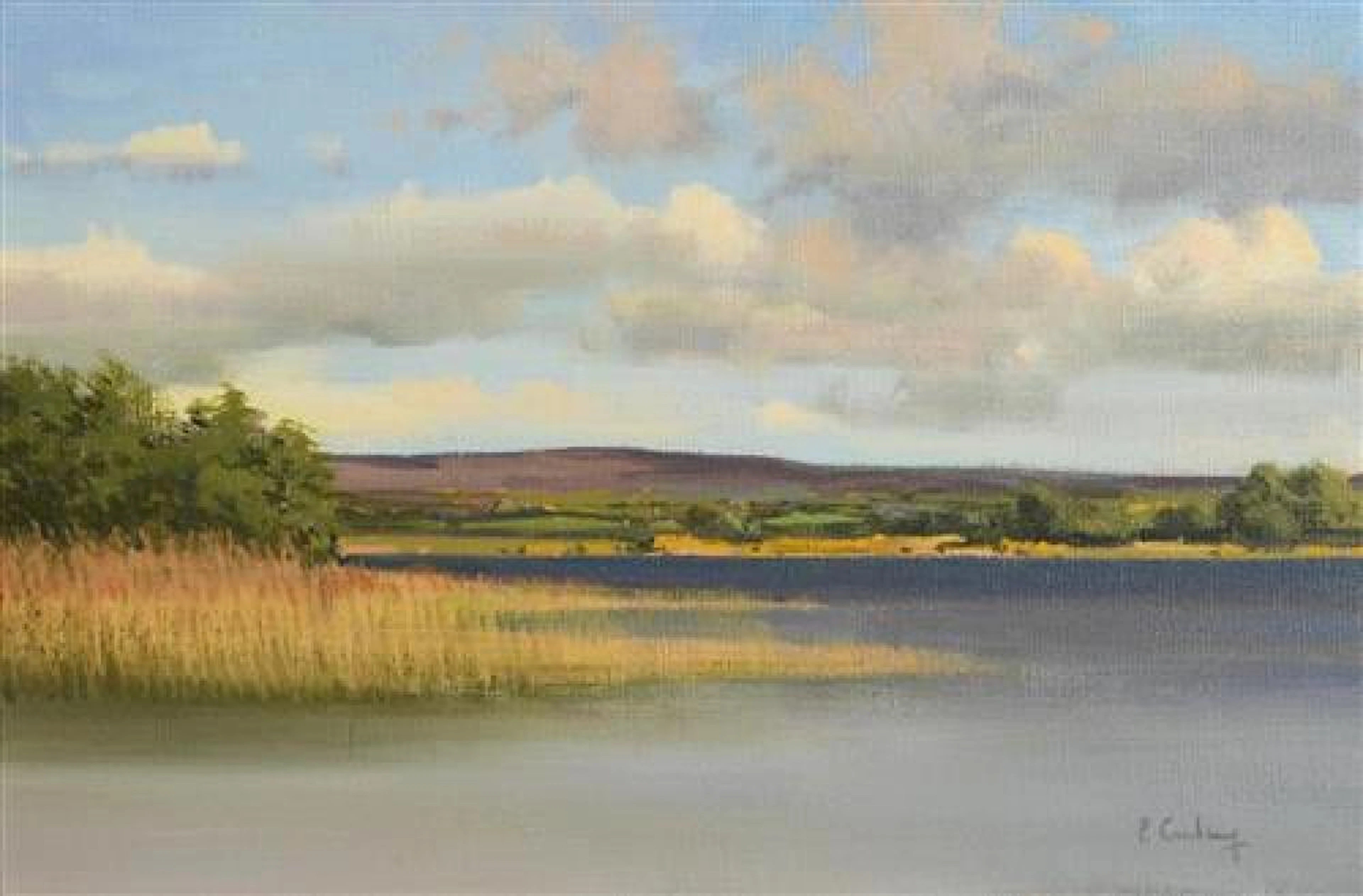 Peter Curling (b.1955) The View from the Bathing Pool, Inis Dara, Lough Derg