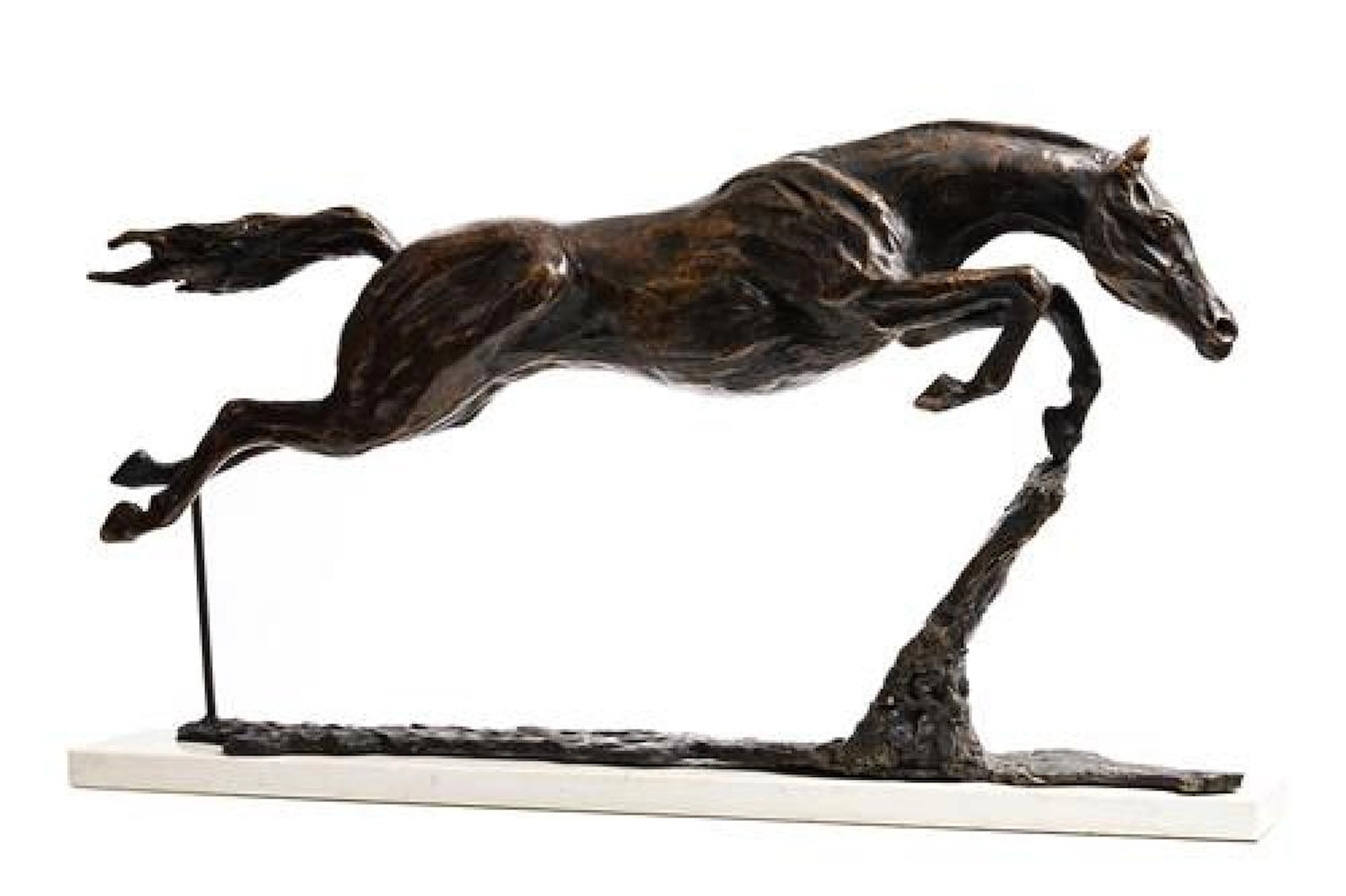Siobhan Bulfin (20th/21st Century) Hurricane Fly (2016)