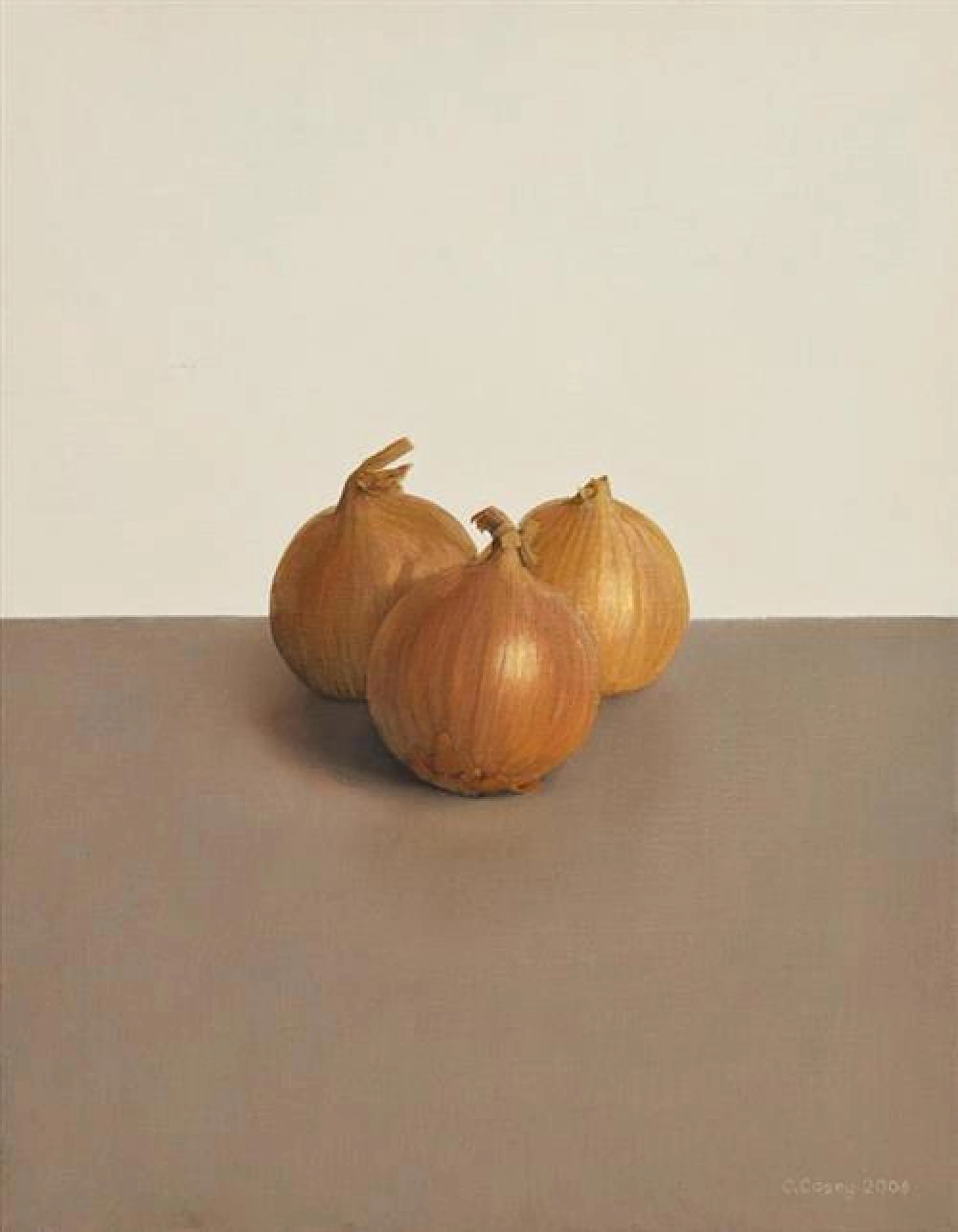 Comhghall Casey (b.1976) Onions (2006)