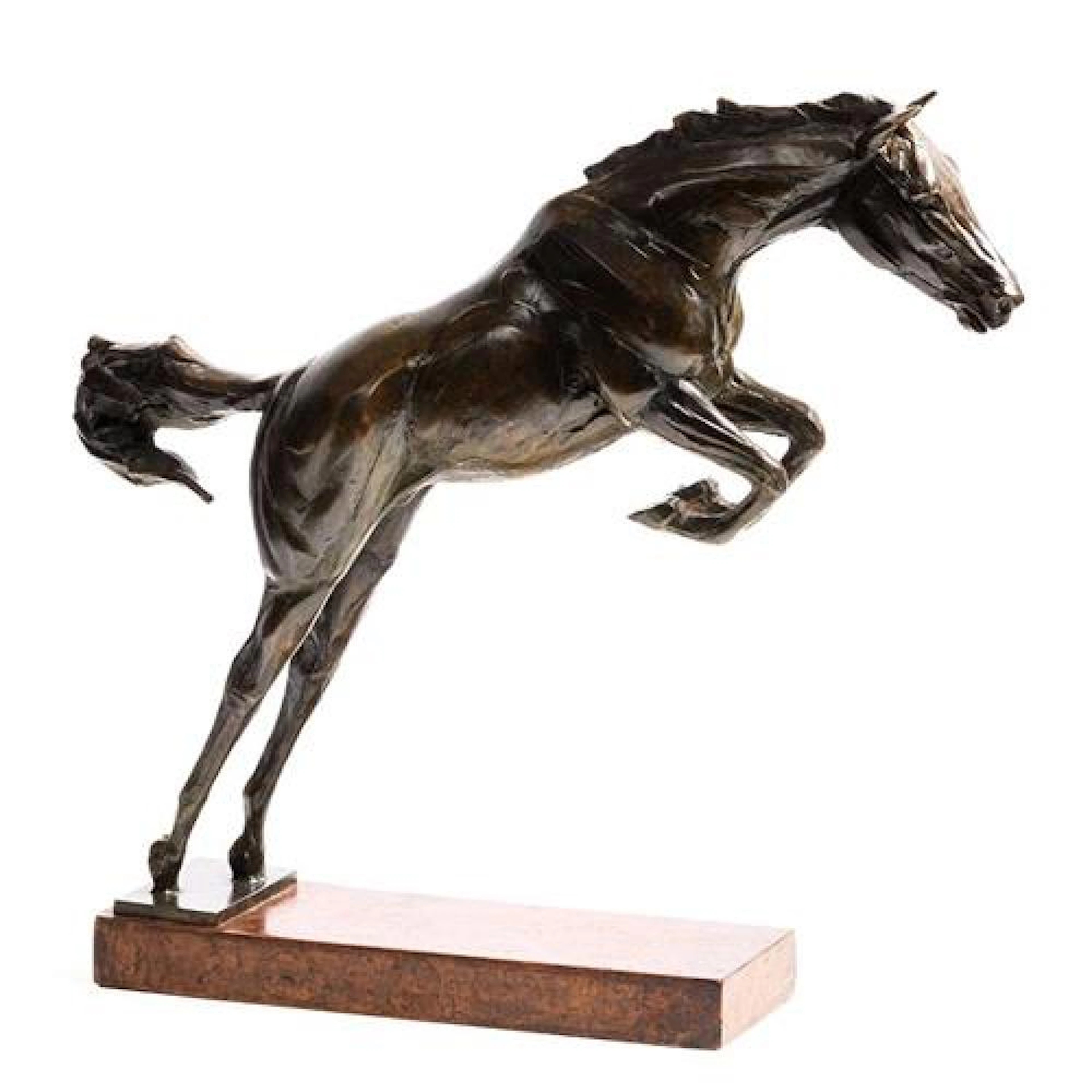 Charlie Langton (20th/21st Century) Jumping Horse (2009)