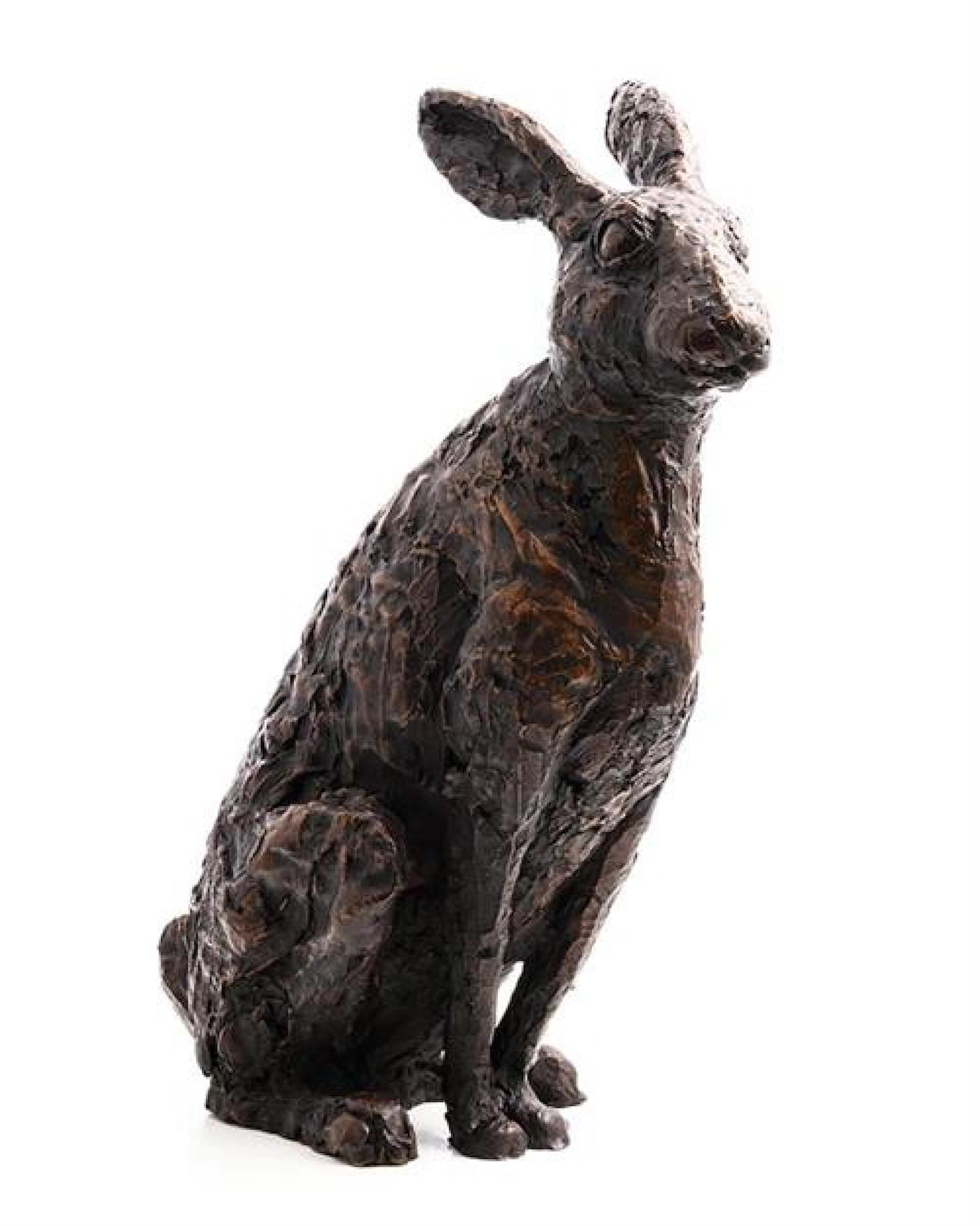 Stephen McKeown (b.1951) Sitting Hare (2006)