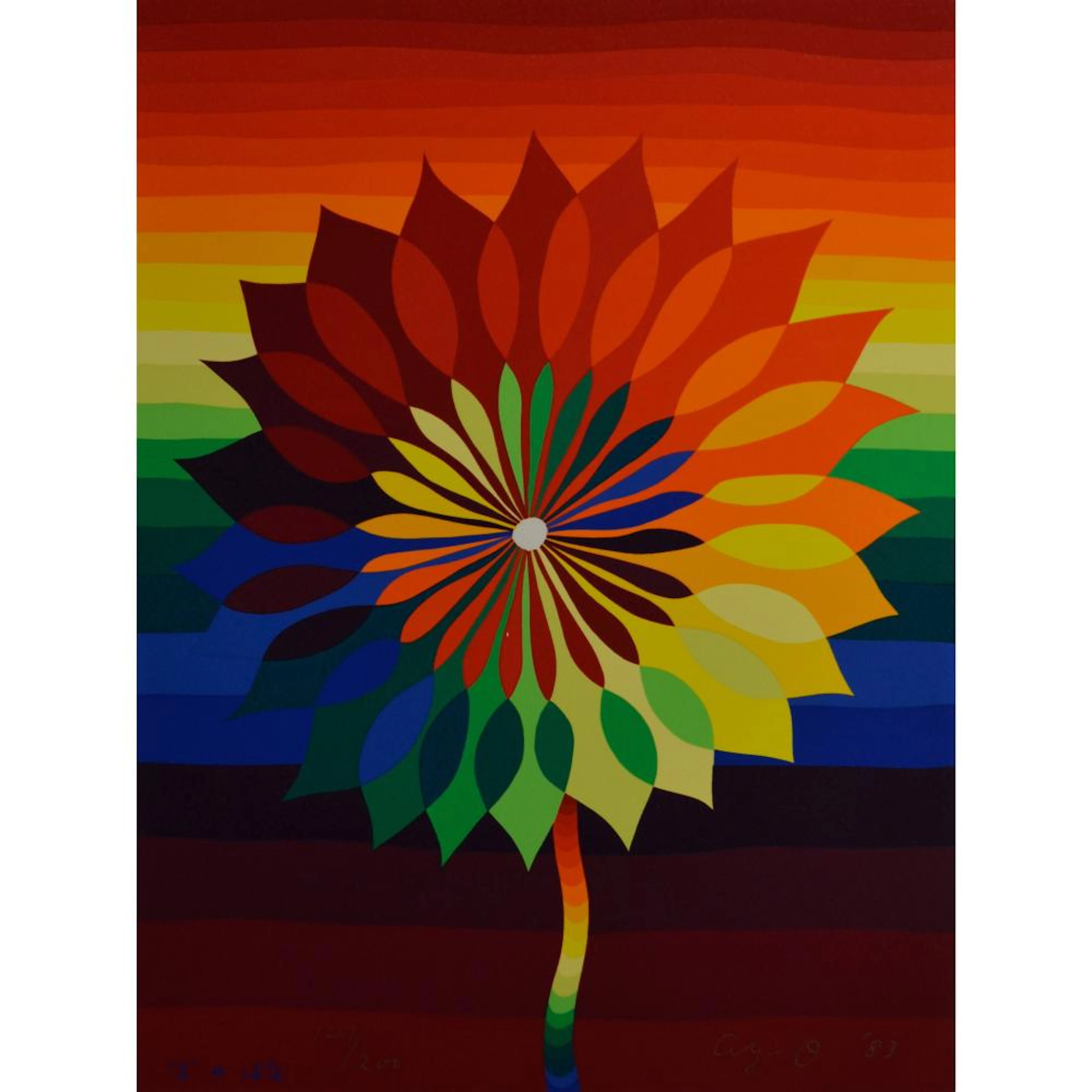 RUNO FLOWER by AY-O