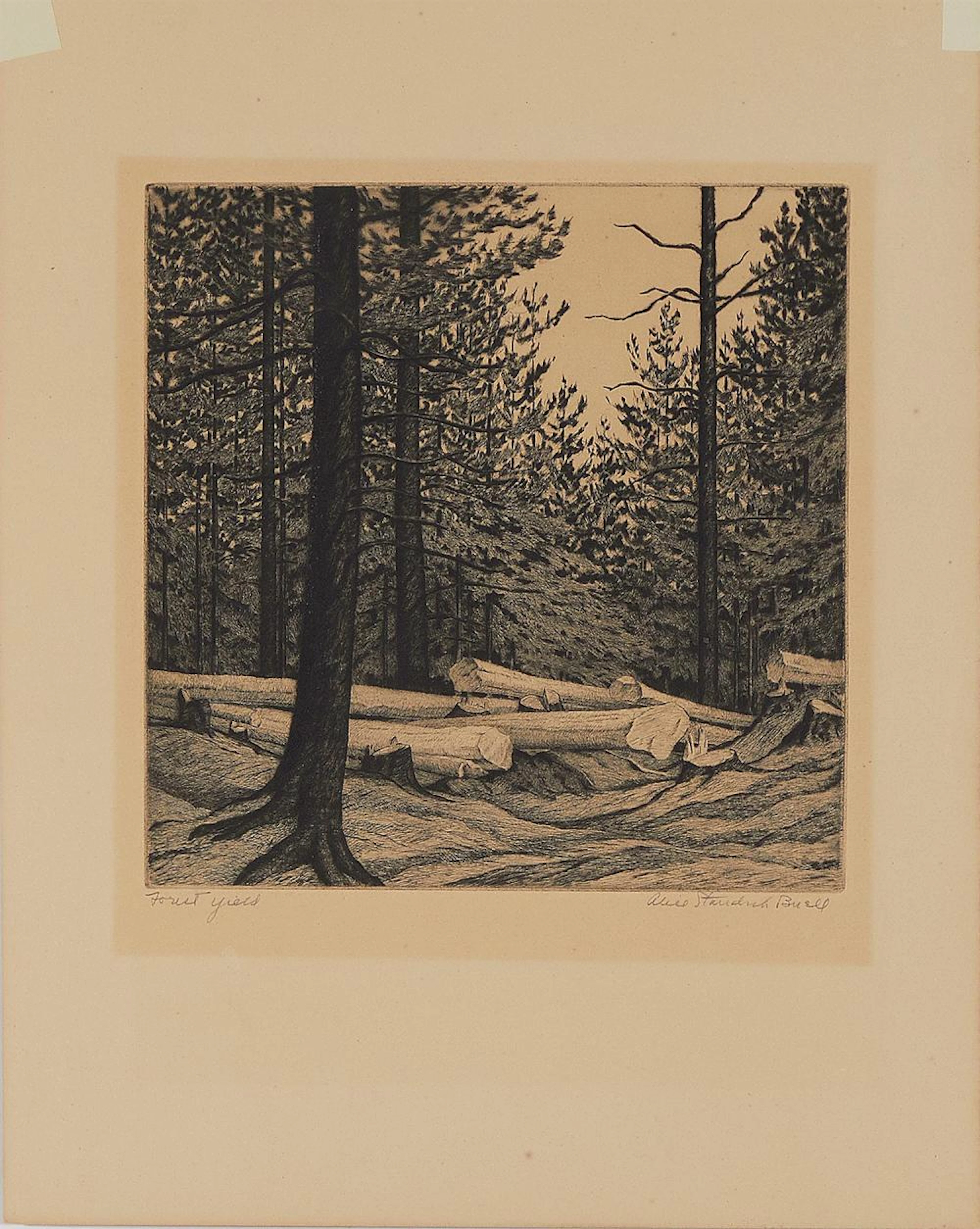 Alice Standish Buell