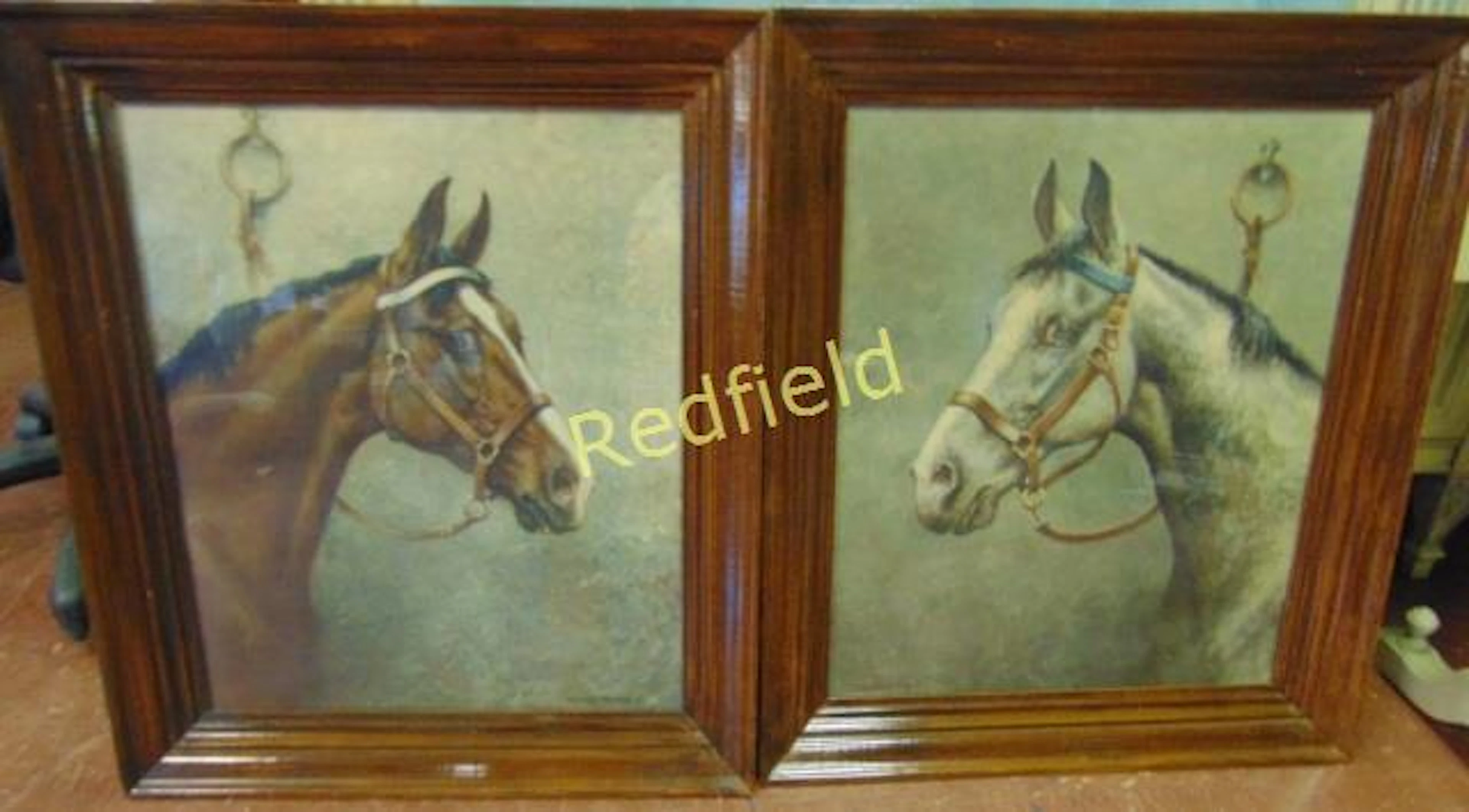 Richard Newton Jr Horse Prints