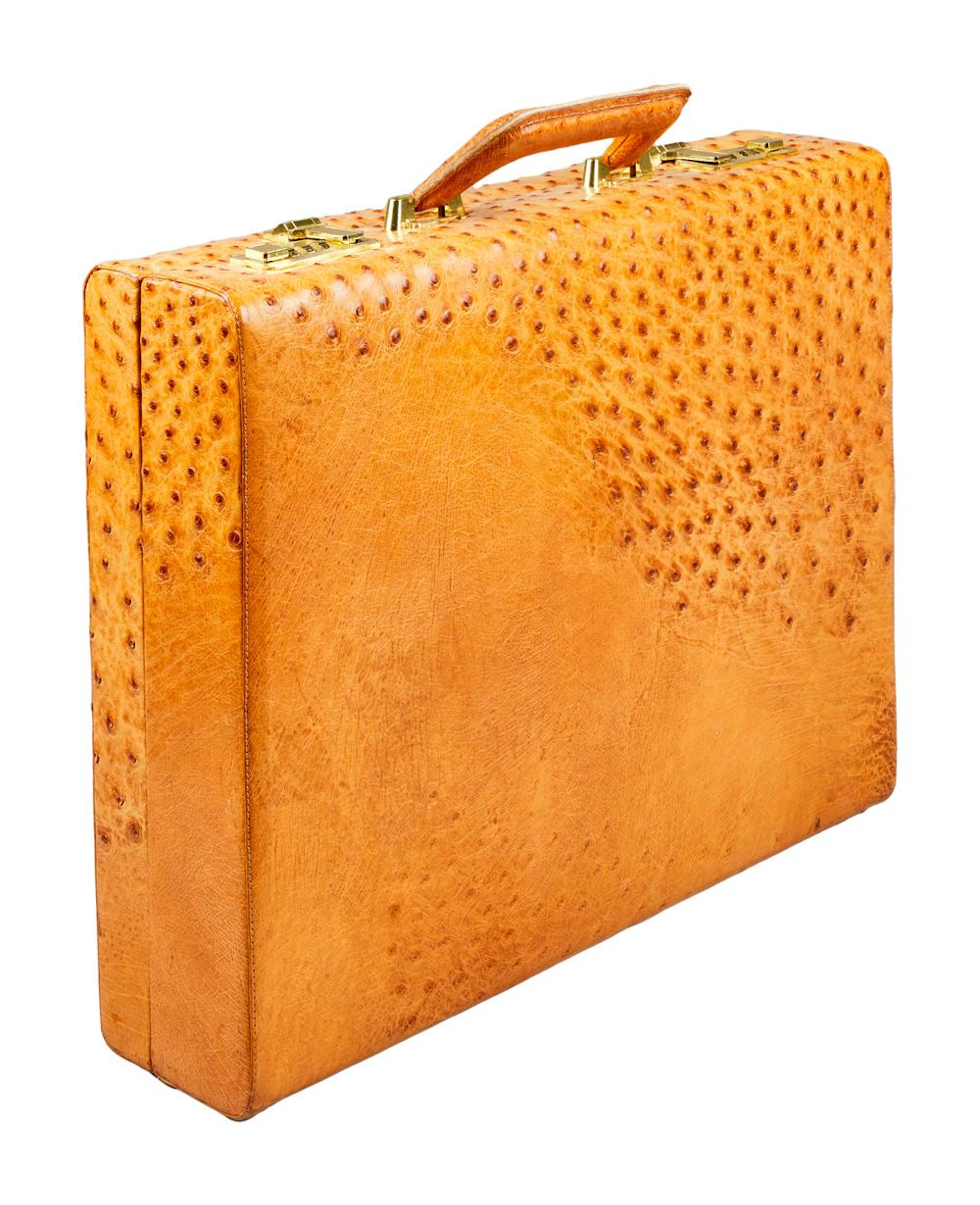 ZZ TOP | DUSTY HILL OSTRICH LEATHER BRIEFCASE