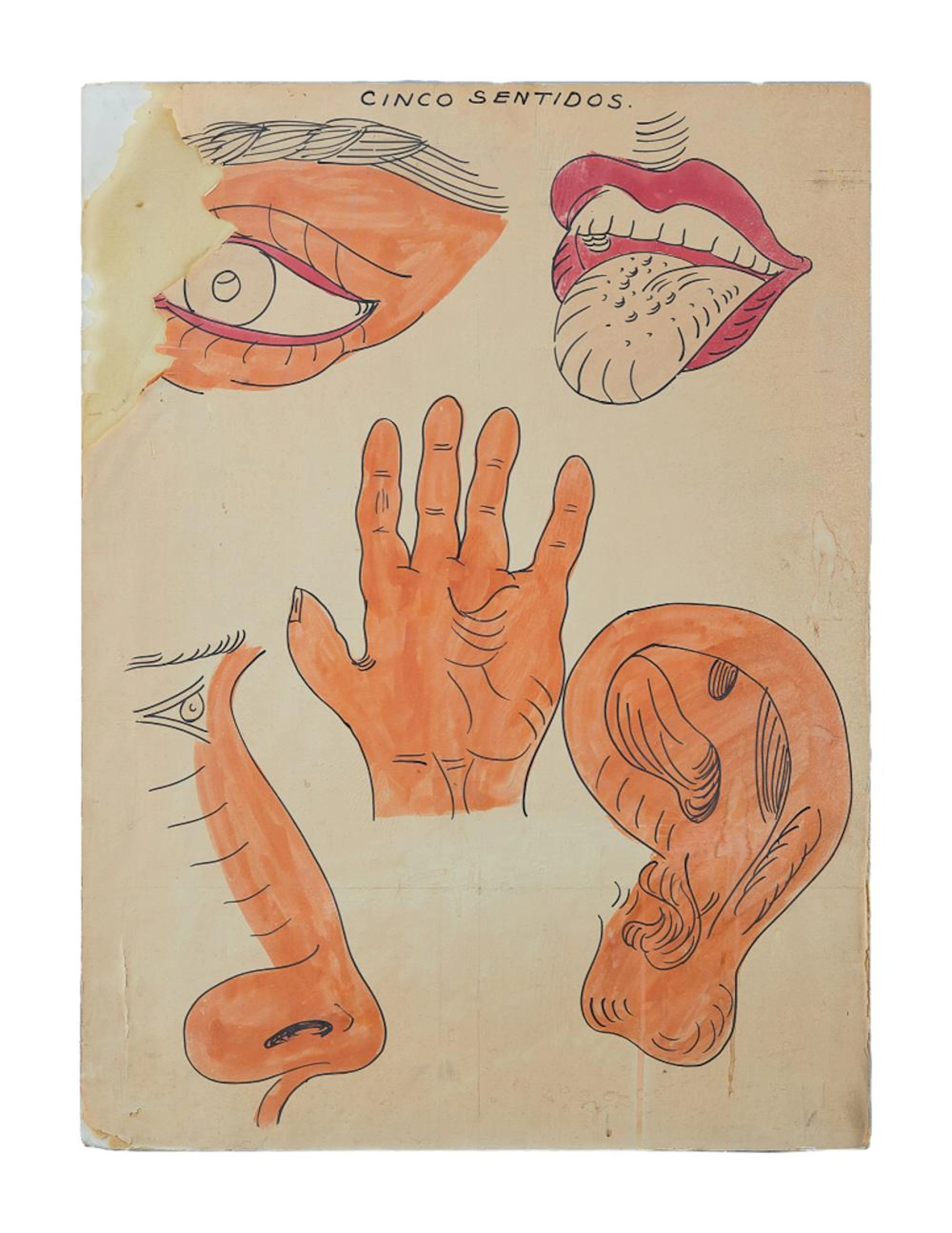 DENNIS HOPPER | CINCO SENTIDOS DRAWING