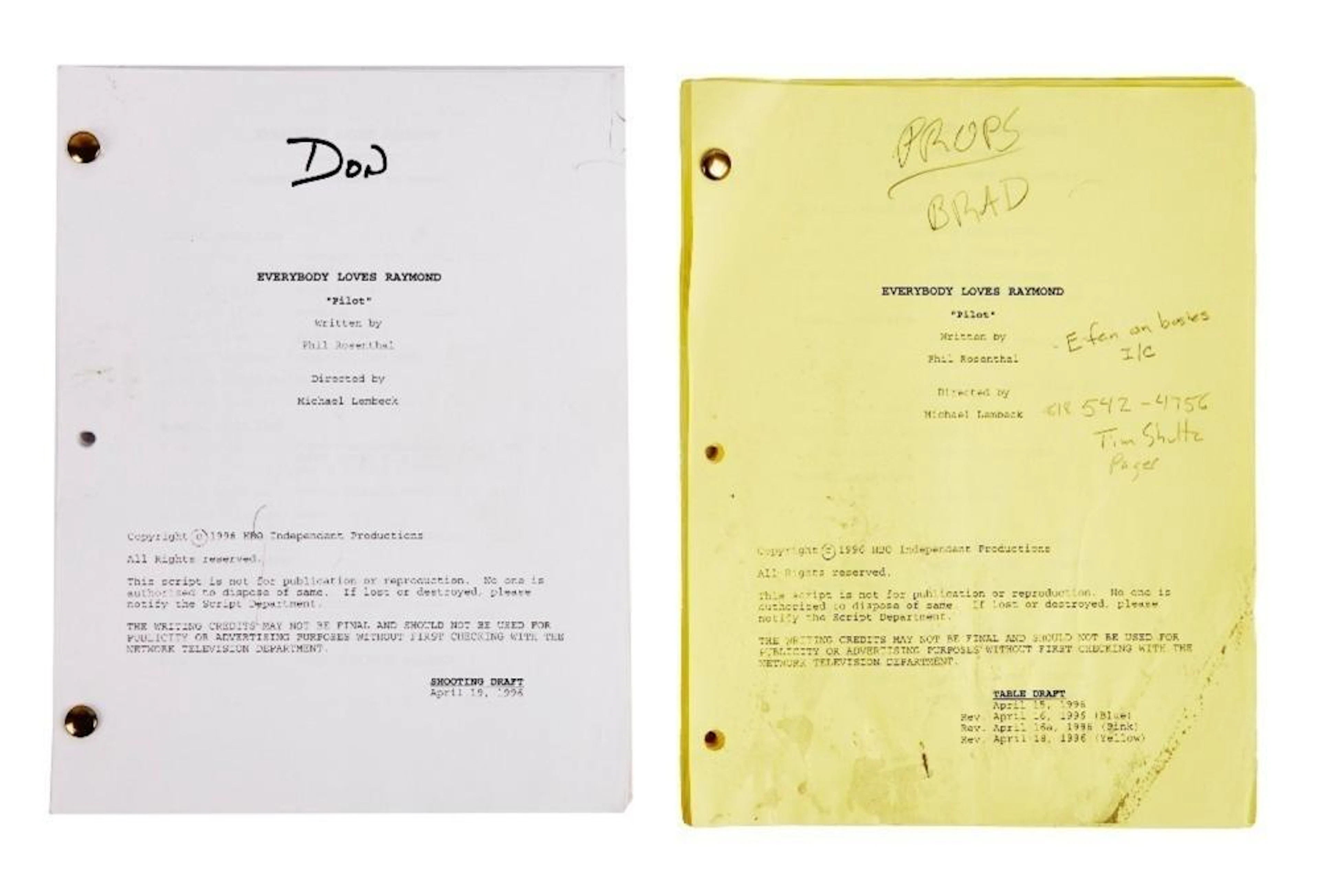 EVERYBODY LOVES RAYMOND | PILOT SCRIPTS