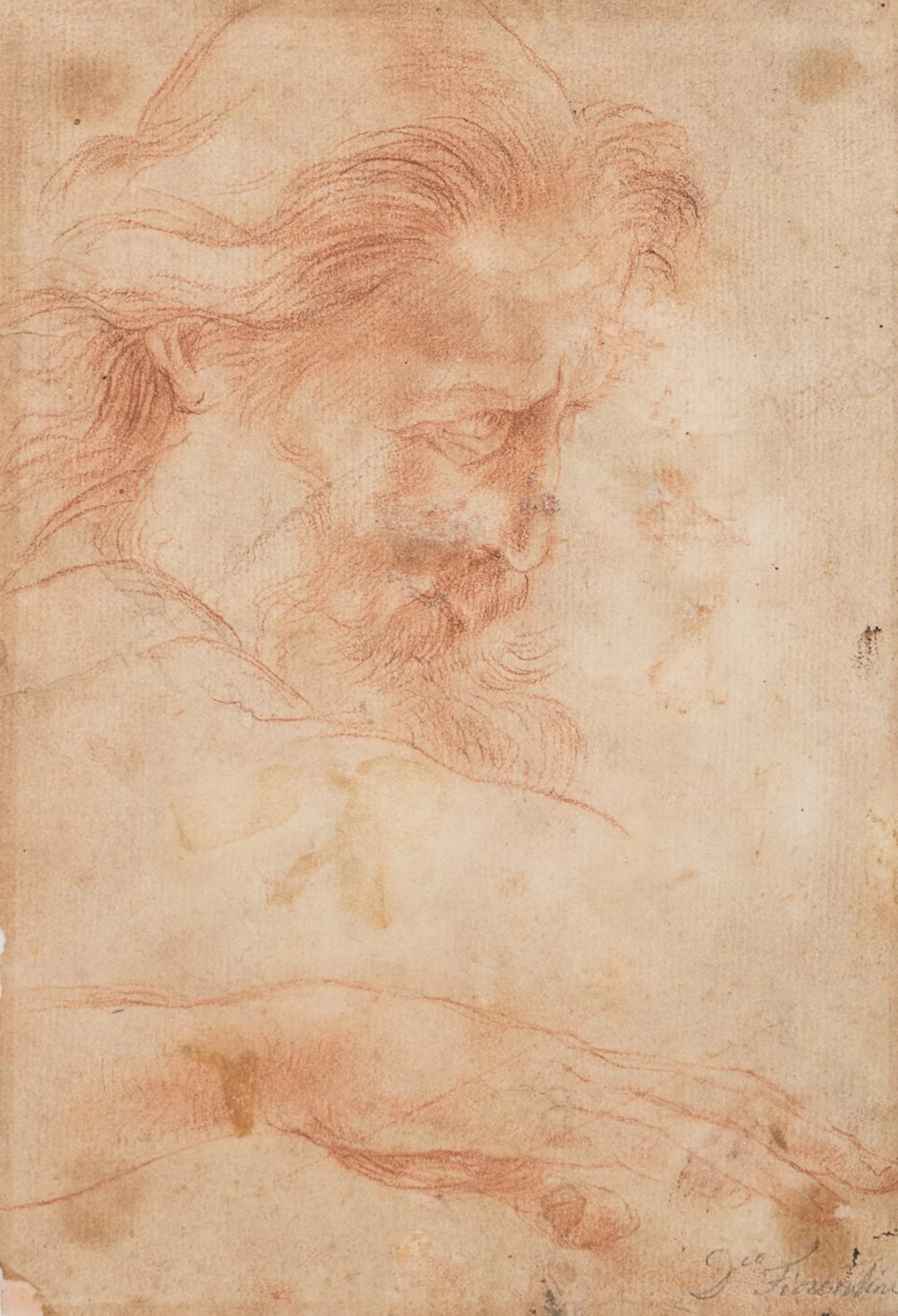 DOMENICO ANTONIO FIORENTINI