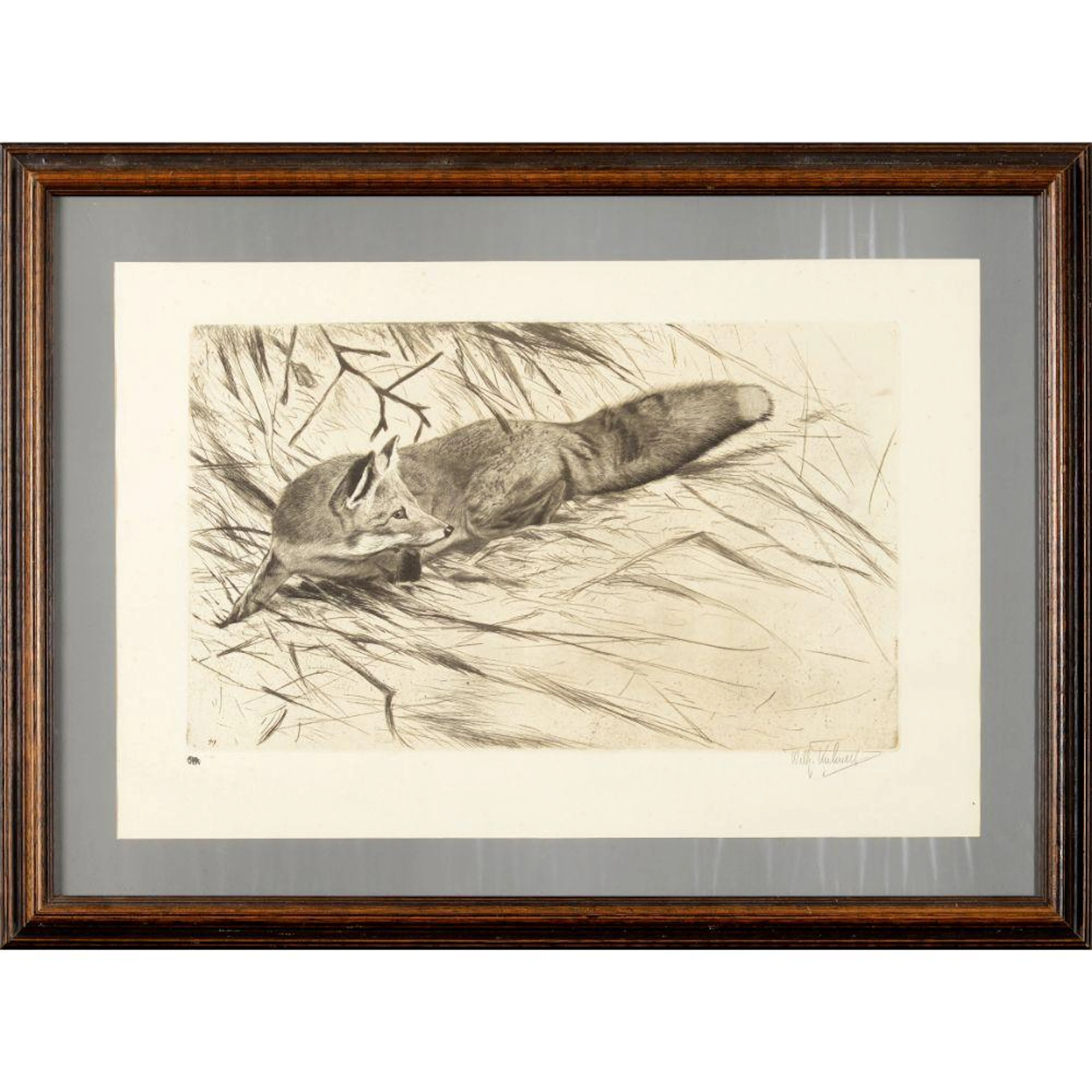 Wilhelm Kuhnert (1865-1926)Fox