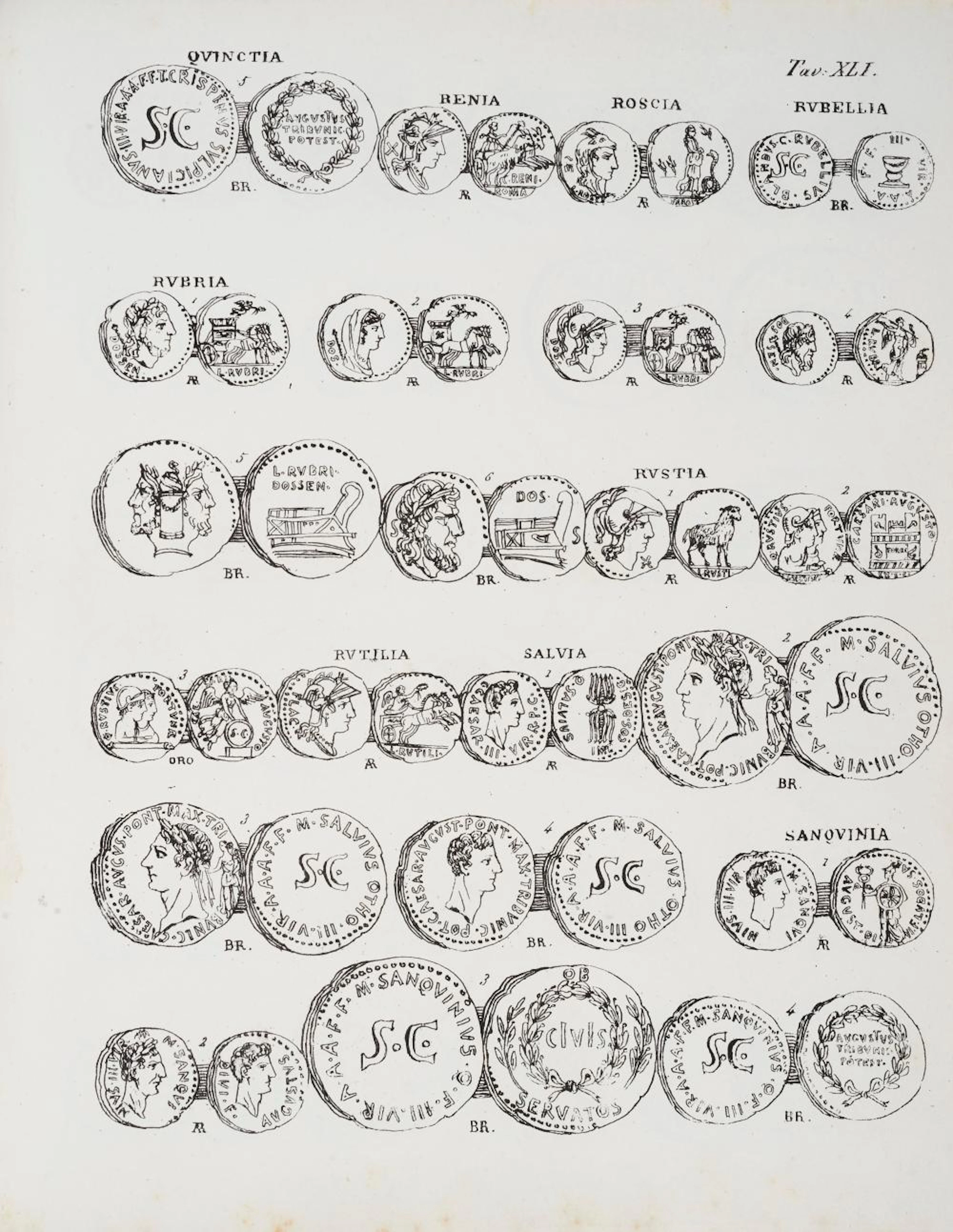 Corposo lotto di volumi numismatici