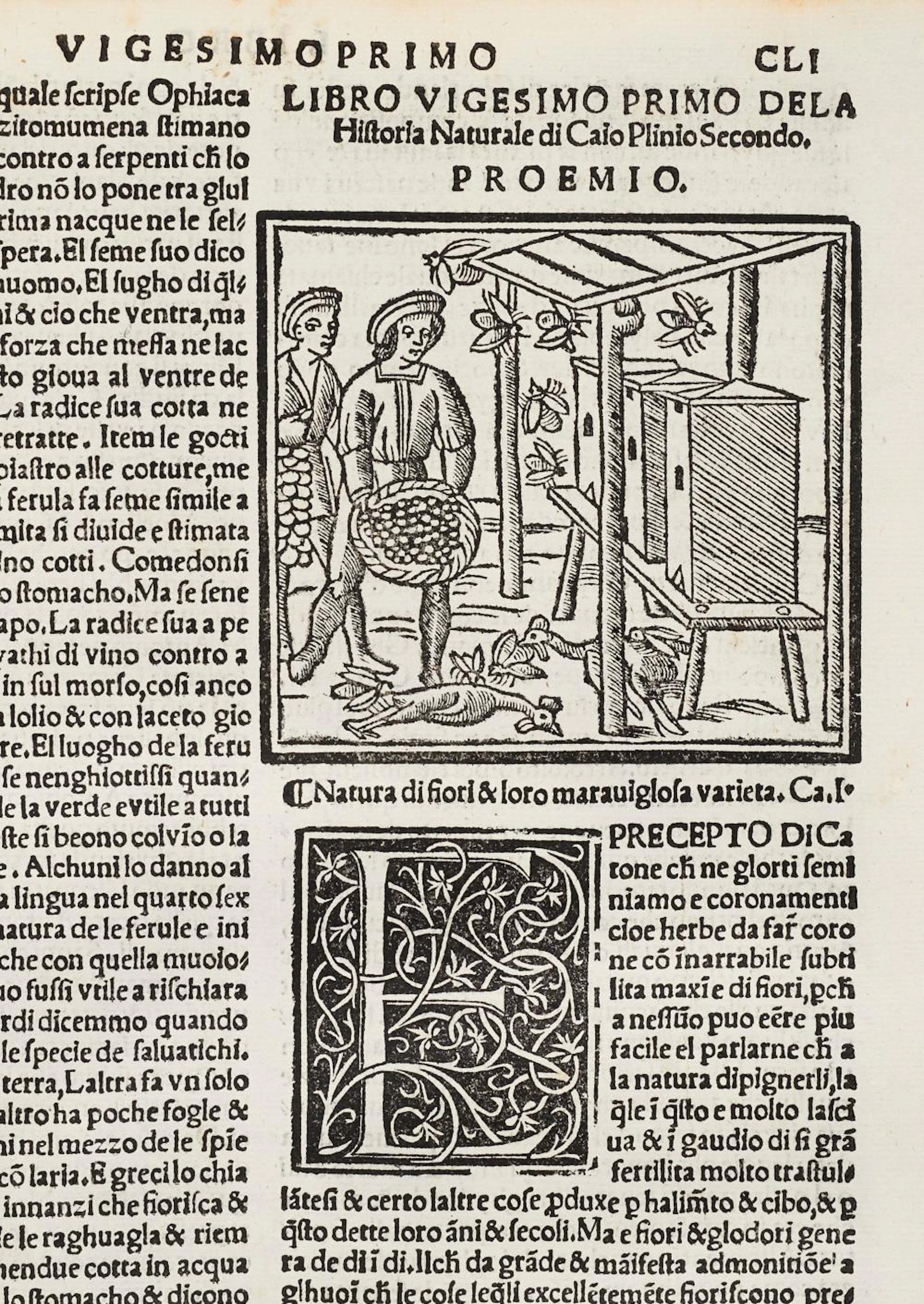 Plinio De la historia naturale: dal latino ne la volgar...