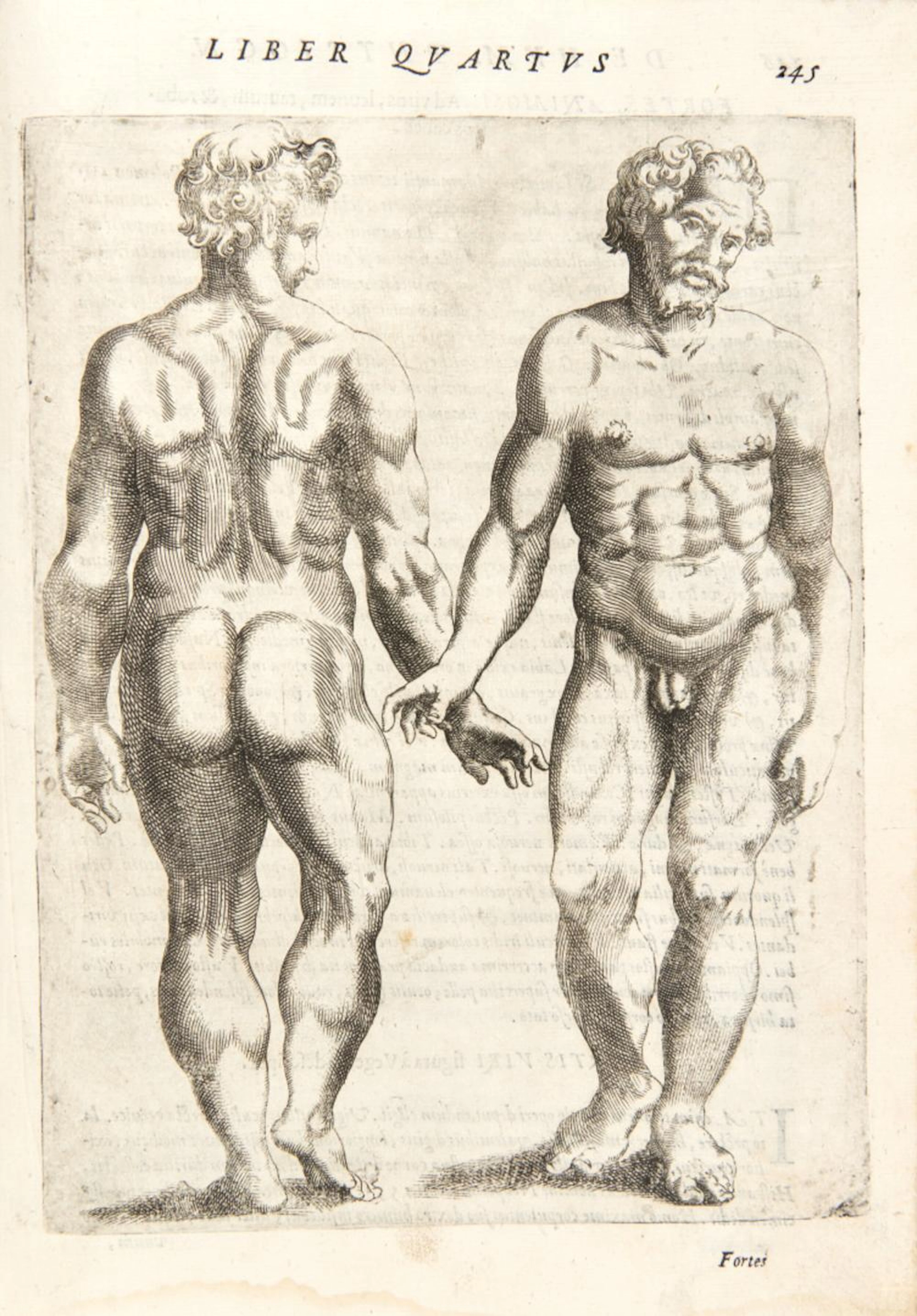 Della Porta, Giovan Battista De humana physiognomonia libri IIII.