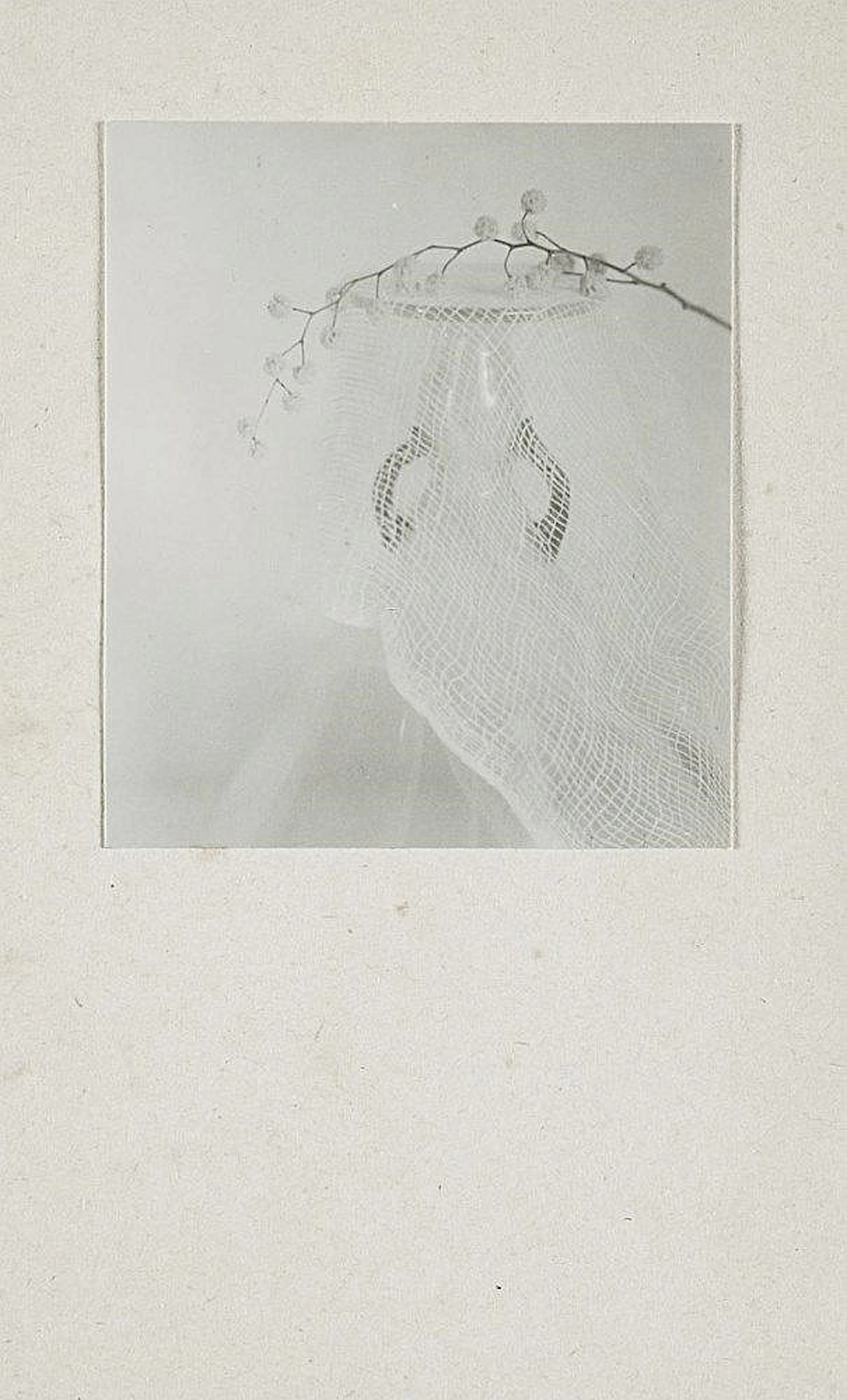 GIUSEPPE CAVALLI