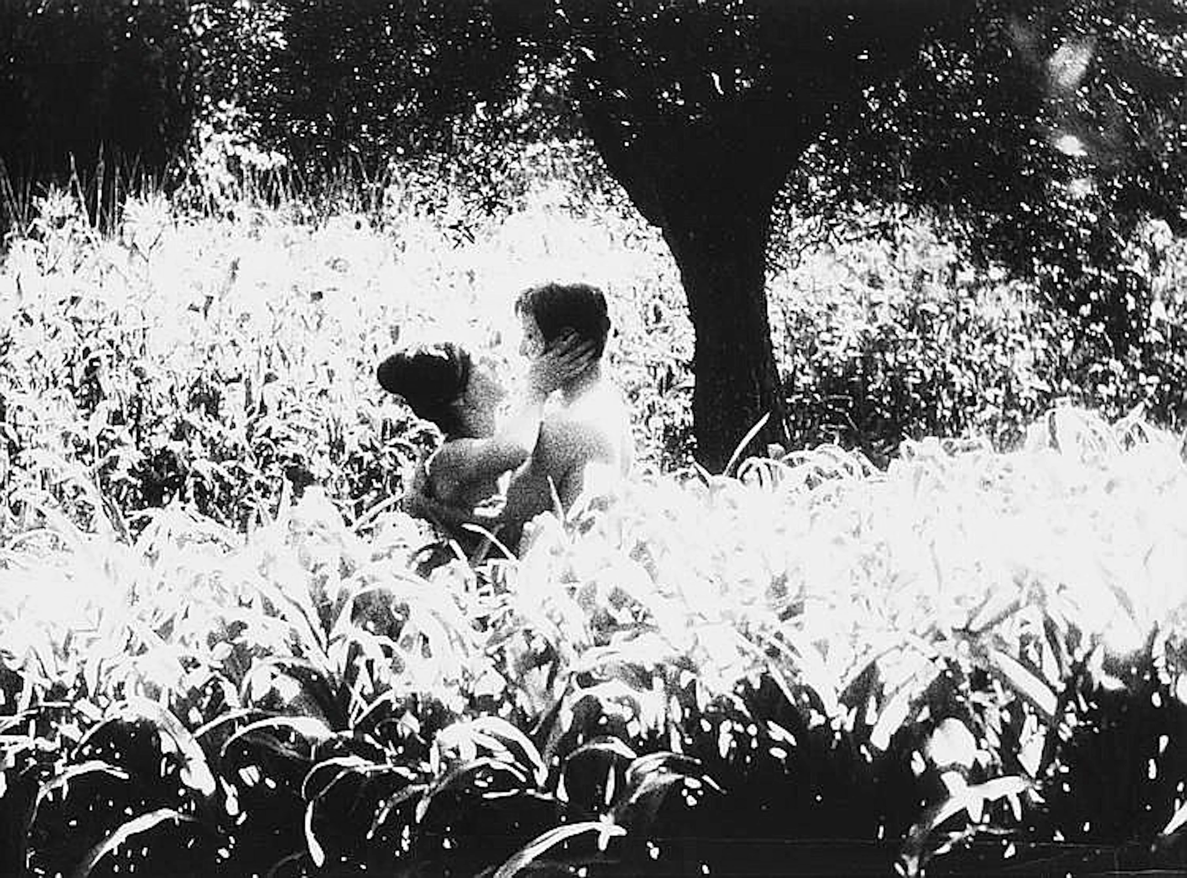 MARIO GIACOMELLI