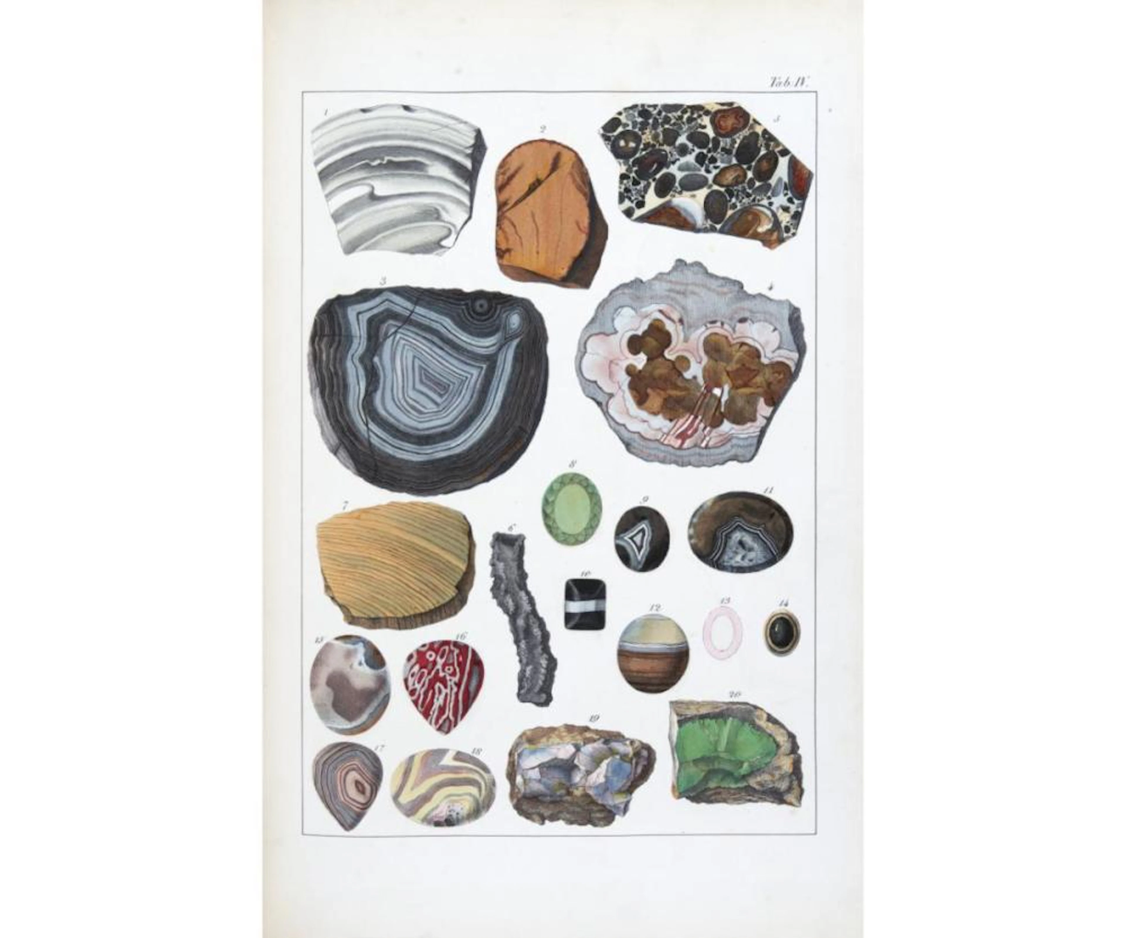 Kurr, Johann Gottlob von The Mineral Kingdom.