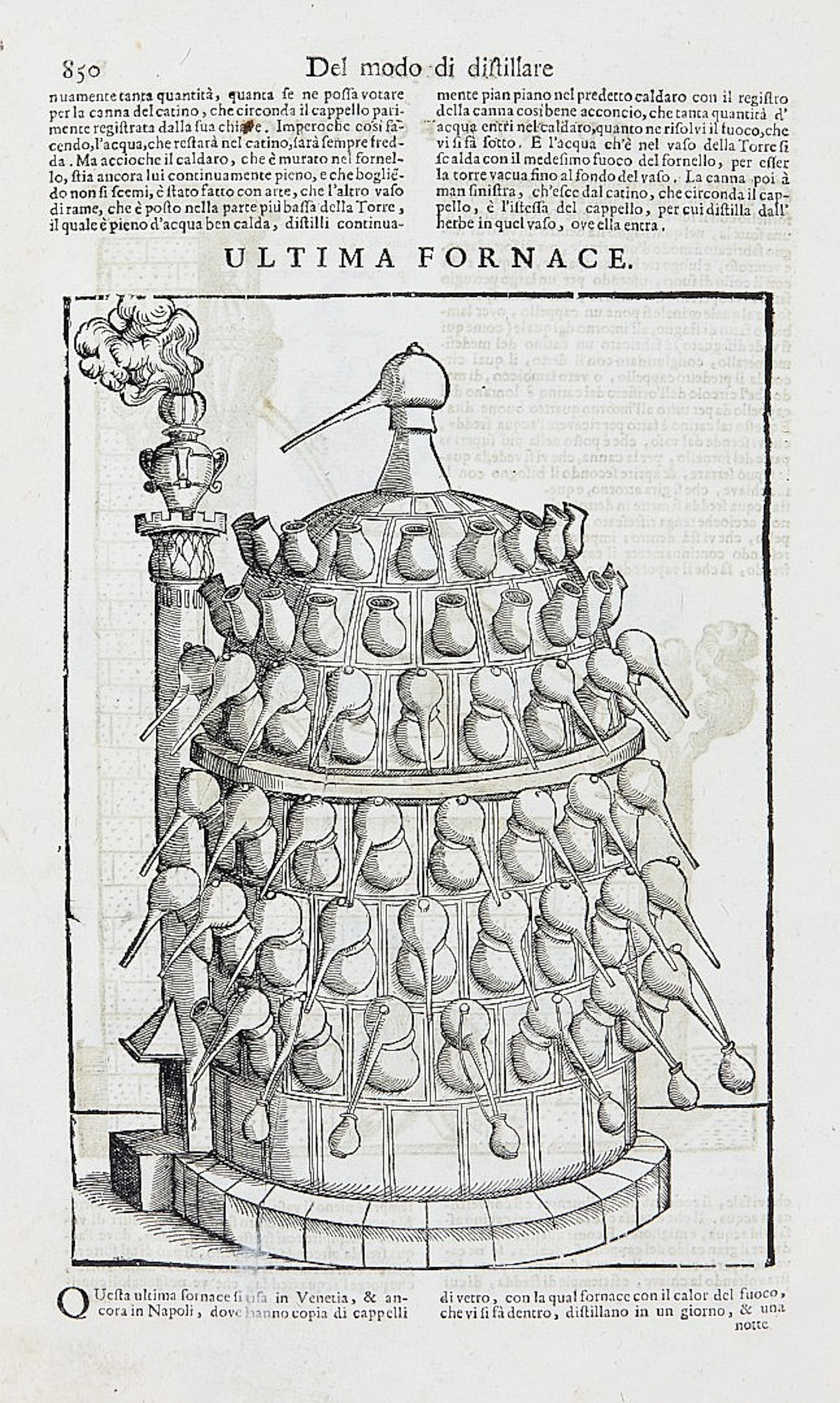 Mattioli, Pietro Andrea