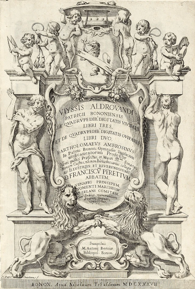 Aldrovandi, Ulisse
