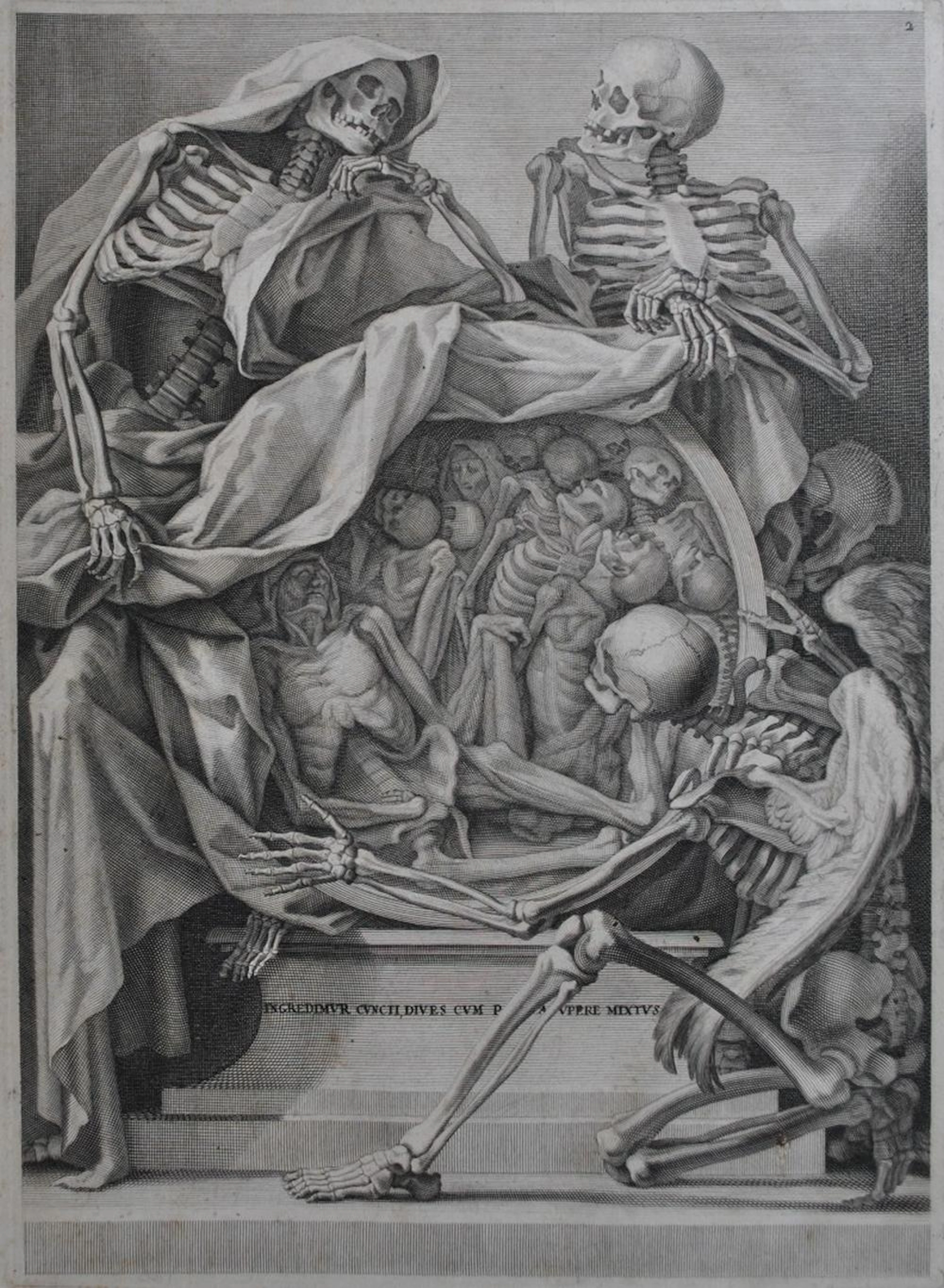 Genga, Bernardino Anatomia per uso et intelligenza del...