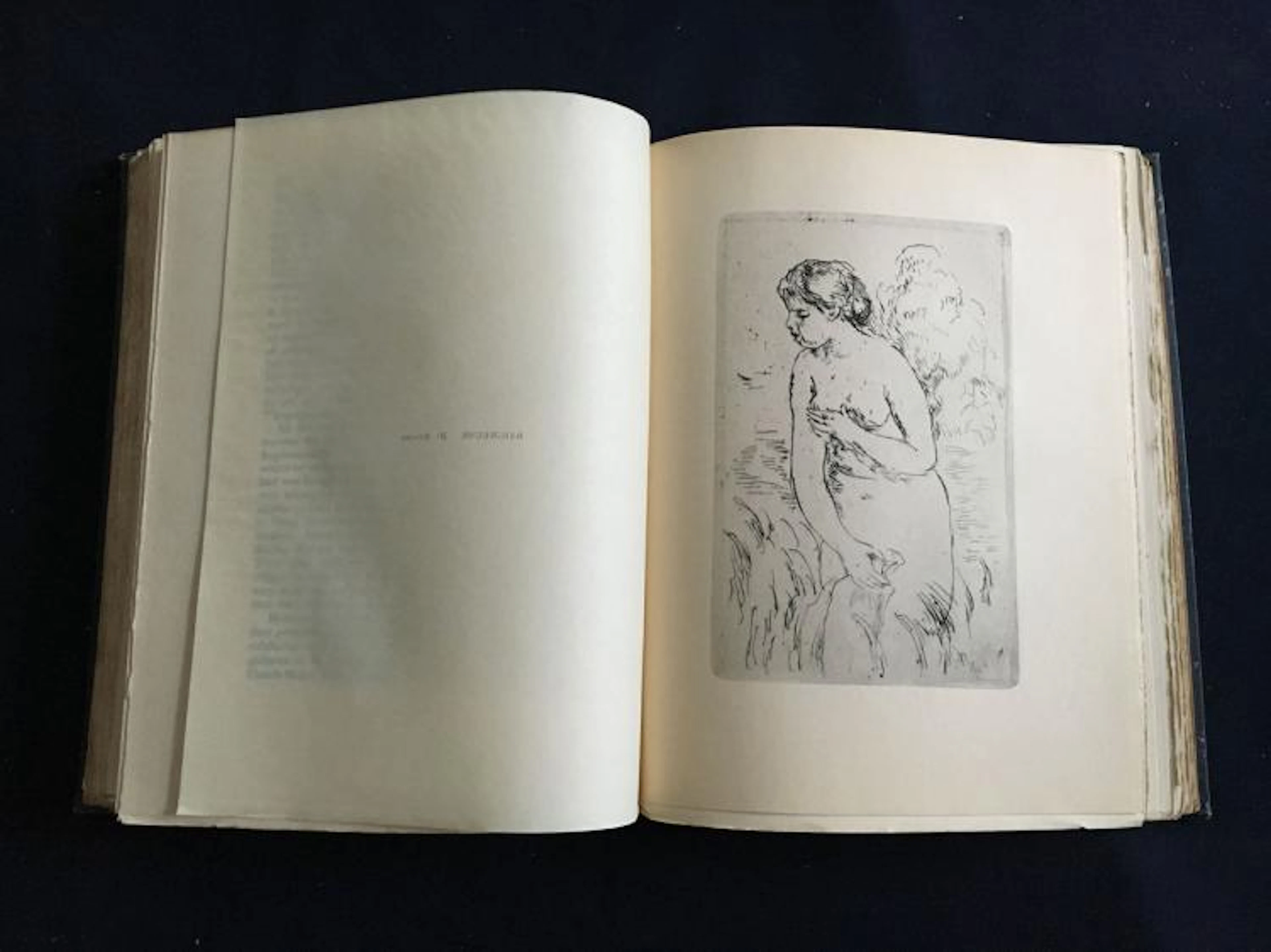 Manet and the French impressionists