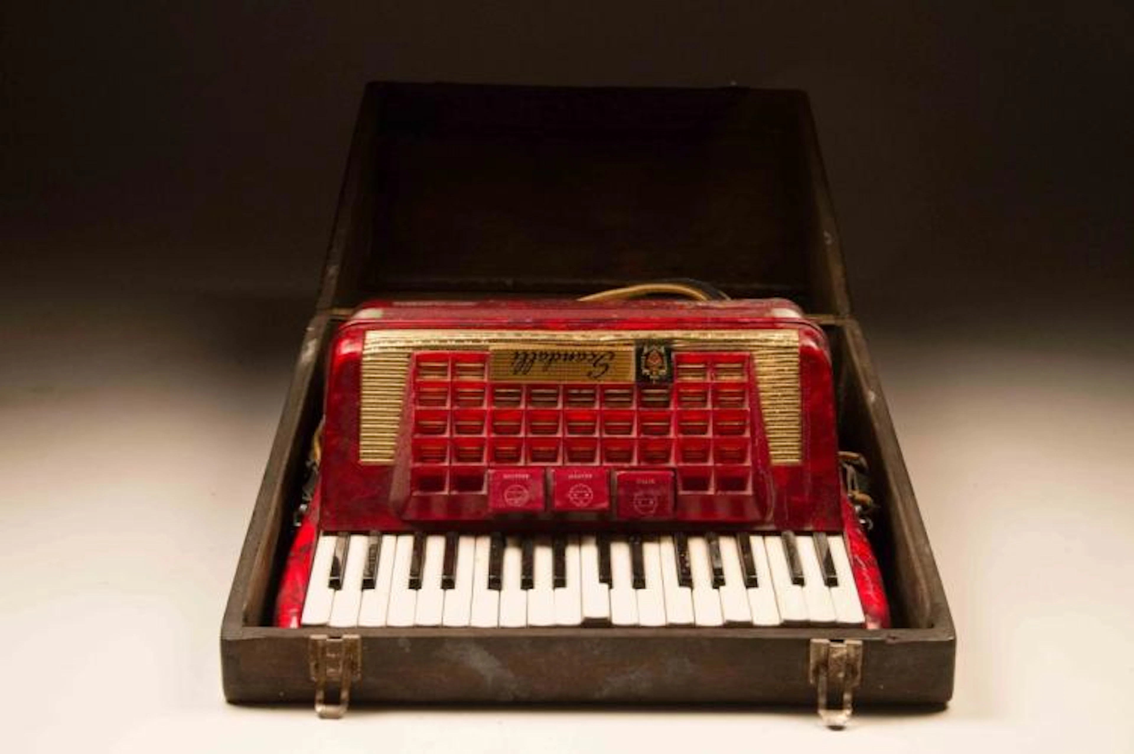 Red Scandalli Fisarmonica Accordion