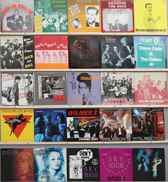 VINYLSKIVOR,25 stycken,Rock.