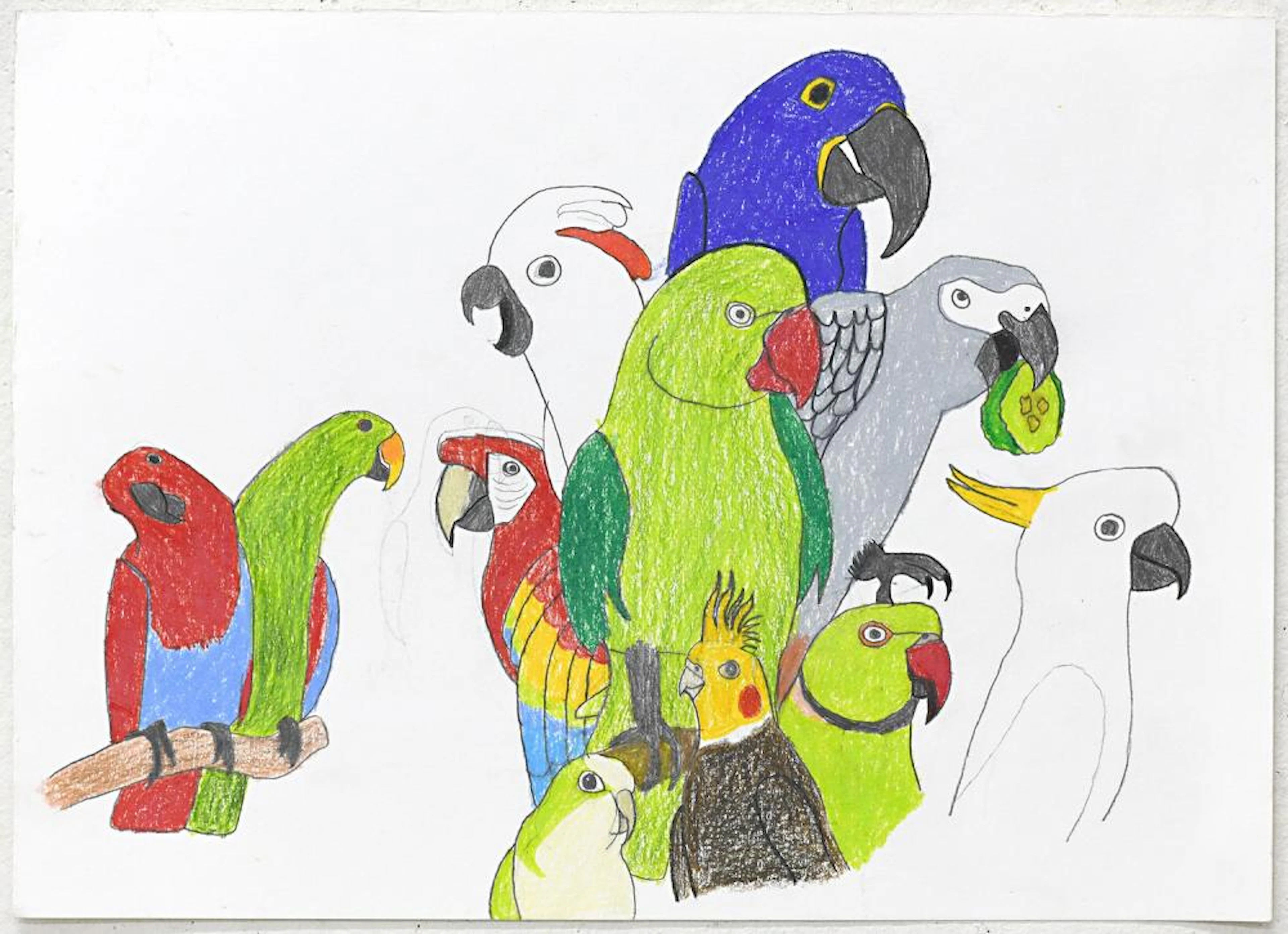 MATTHEW BENDIX (born 2000) Untitled 2019 greylead and colour pencil on paper