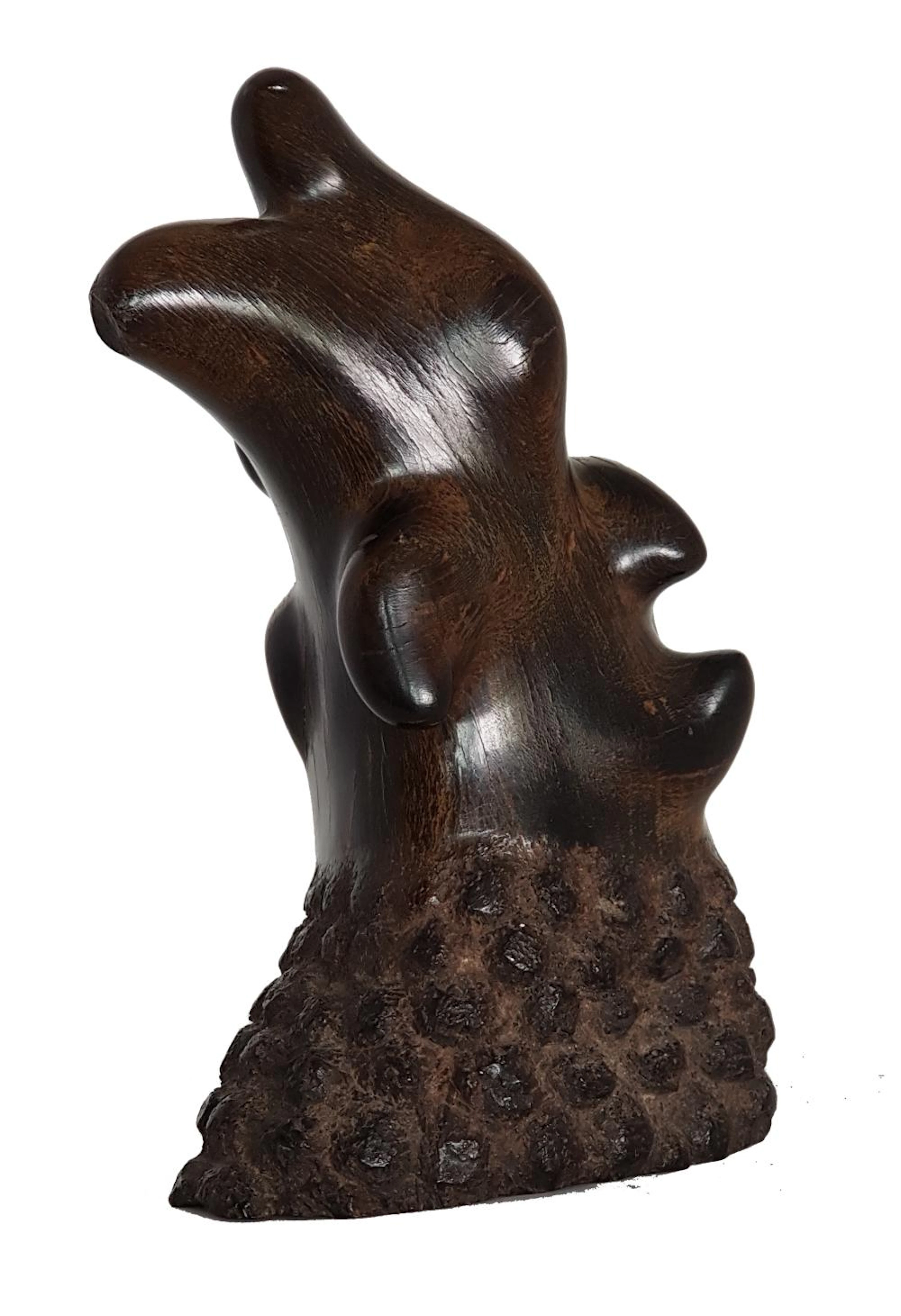 Rhinoceros horn Vietnam