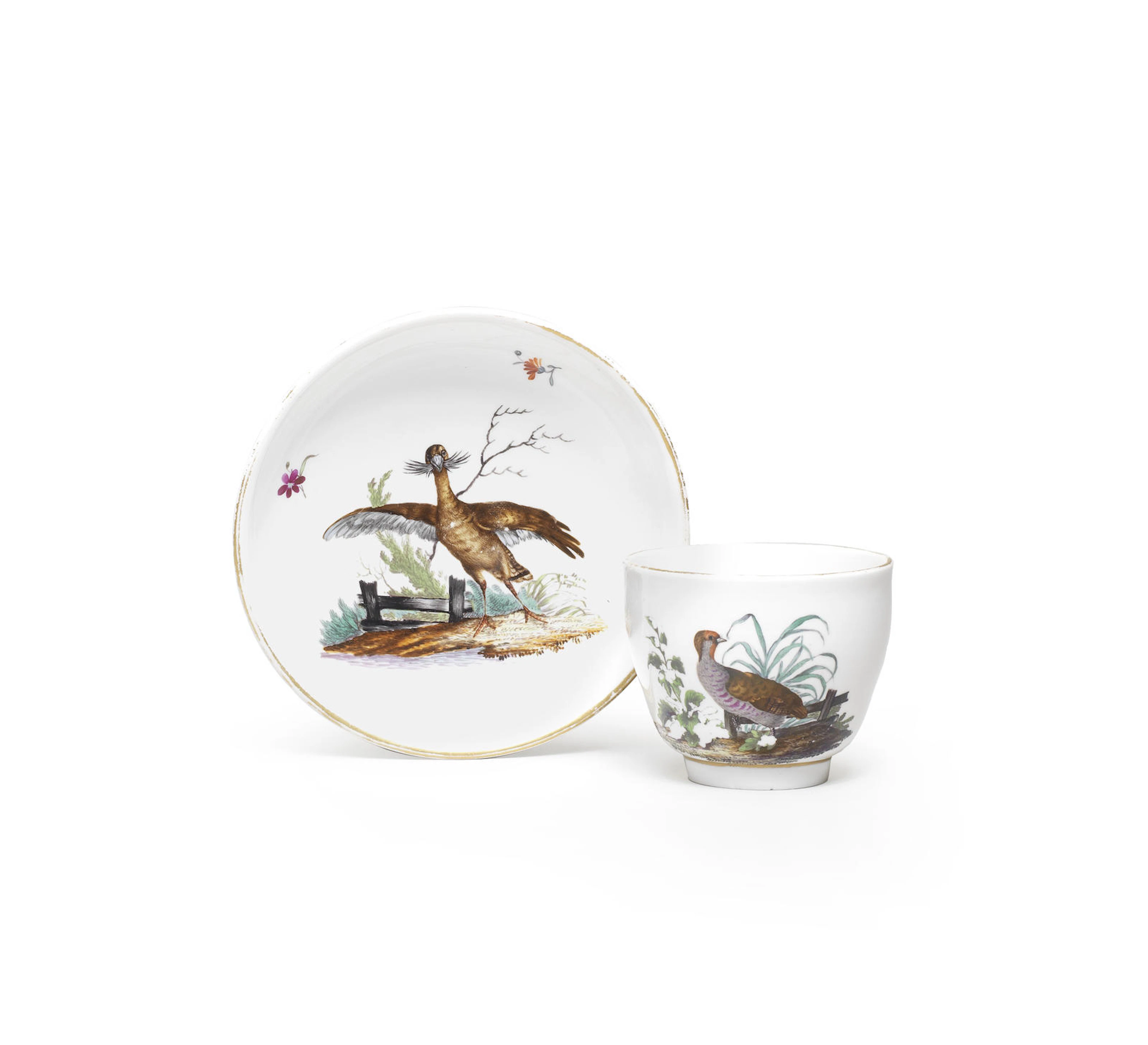 A very rare Ansbach ornithological cup and saucer sent to the Reverend De Mol at Loosdrecht, circa 1773