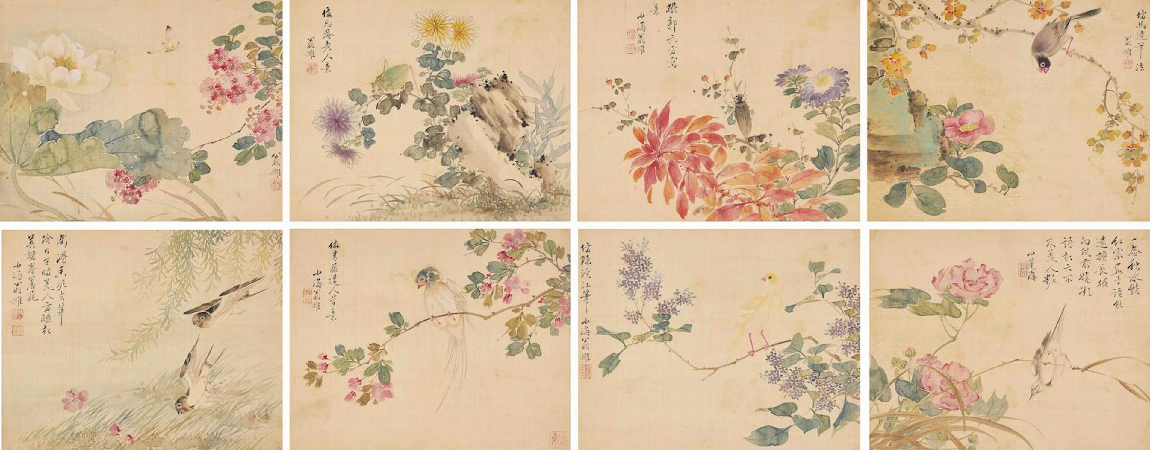Flowers and Birds